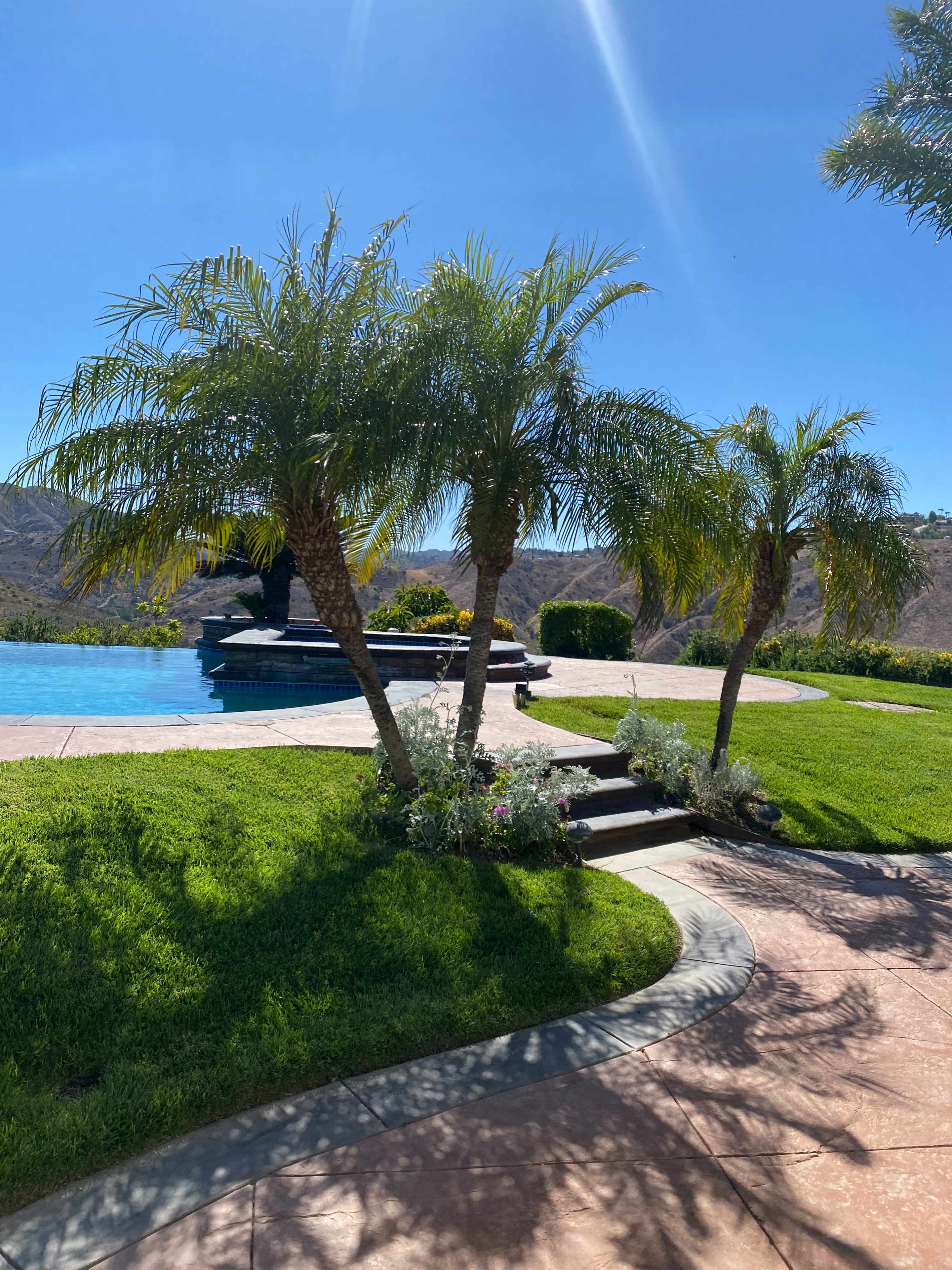 (Backyard only) Tropical Vibe Backyard with Half Basketball Court Image in West Hills, West Hills, CA