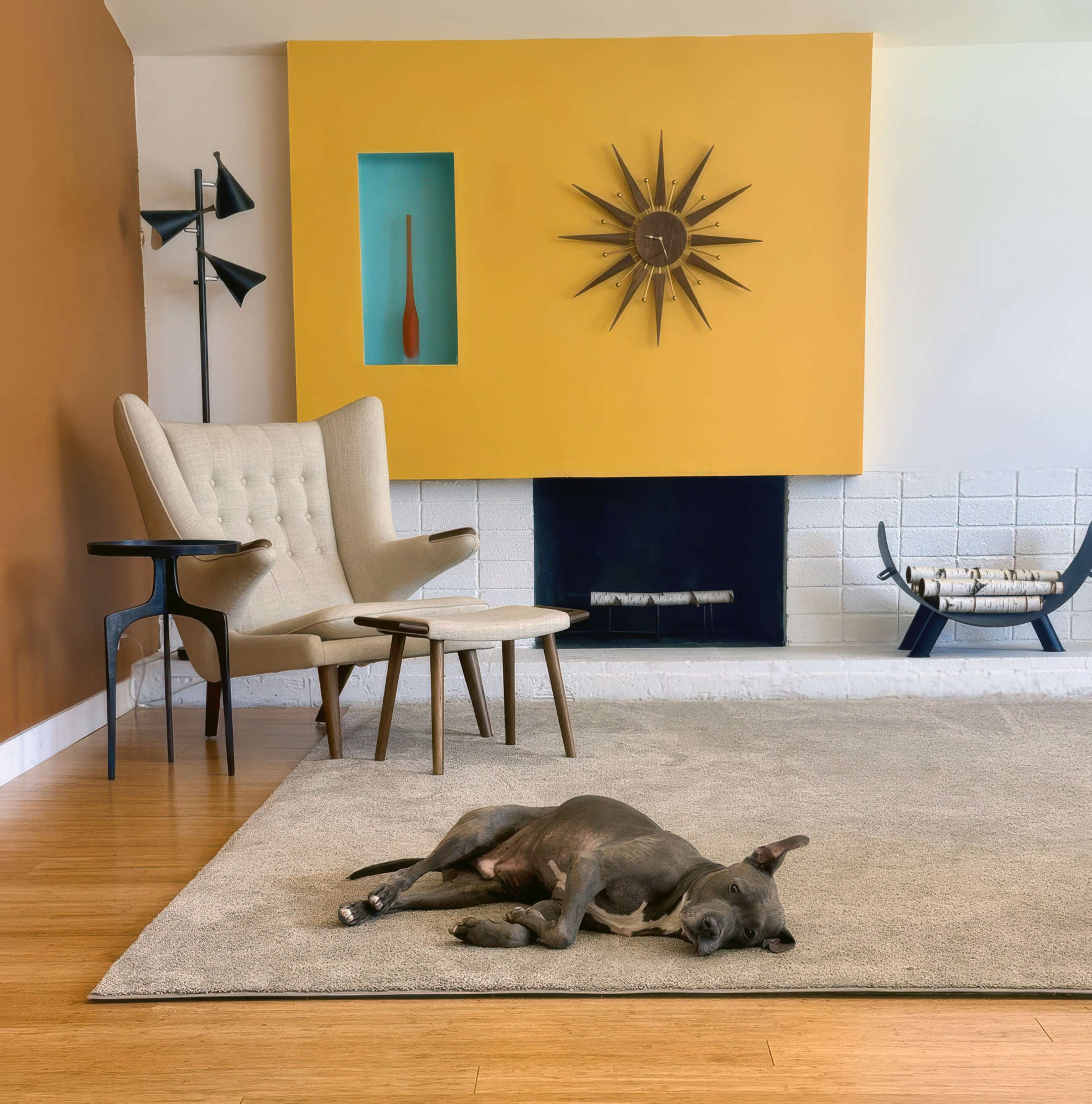 A dog is lying on a rug in a modern living room featuring a yellow accent wall, a fireplace, and mid-century furniture.