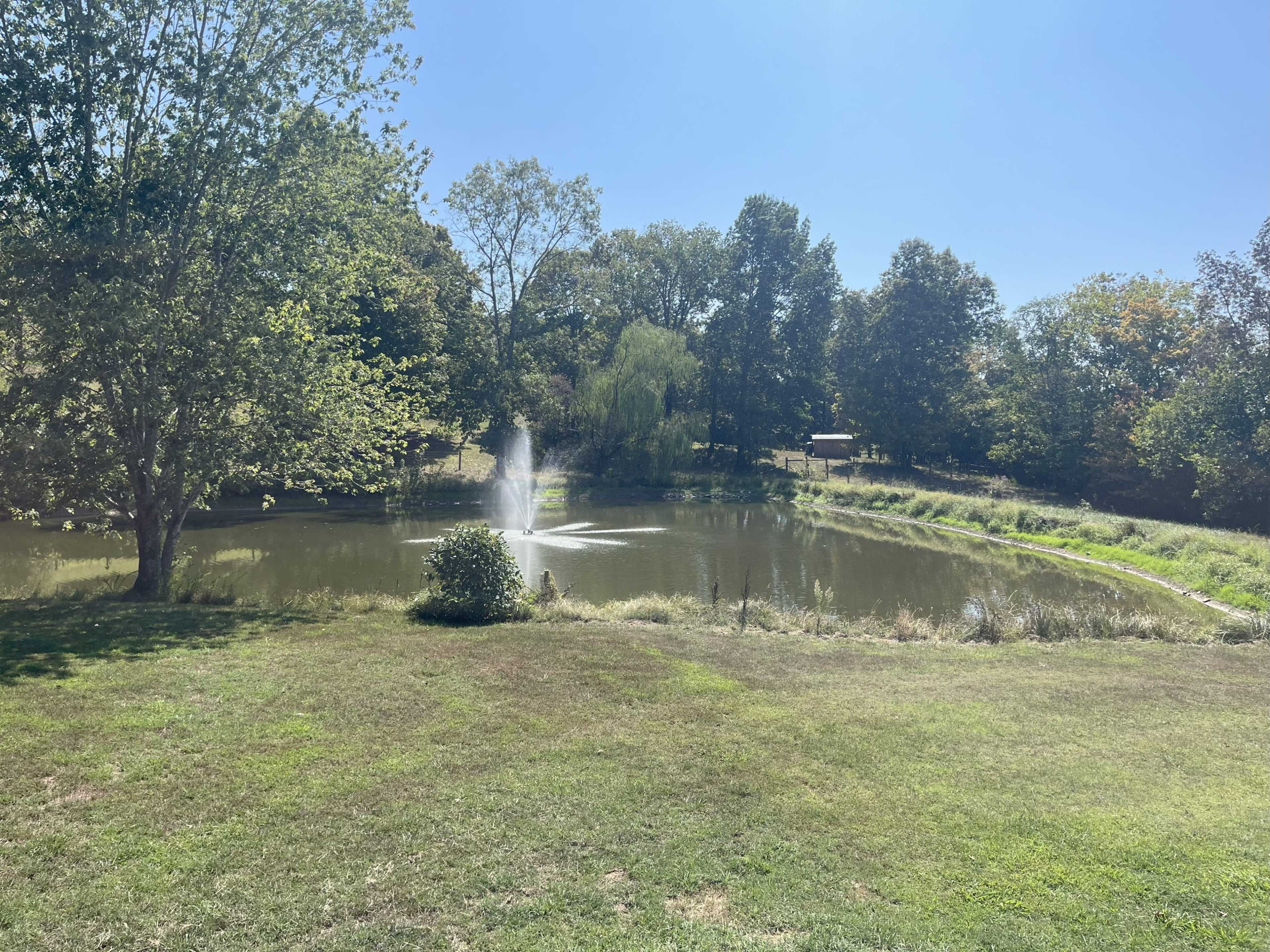 A pond with a fountain is surrounded by trees and grassy areas under a clear blue sky.