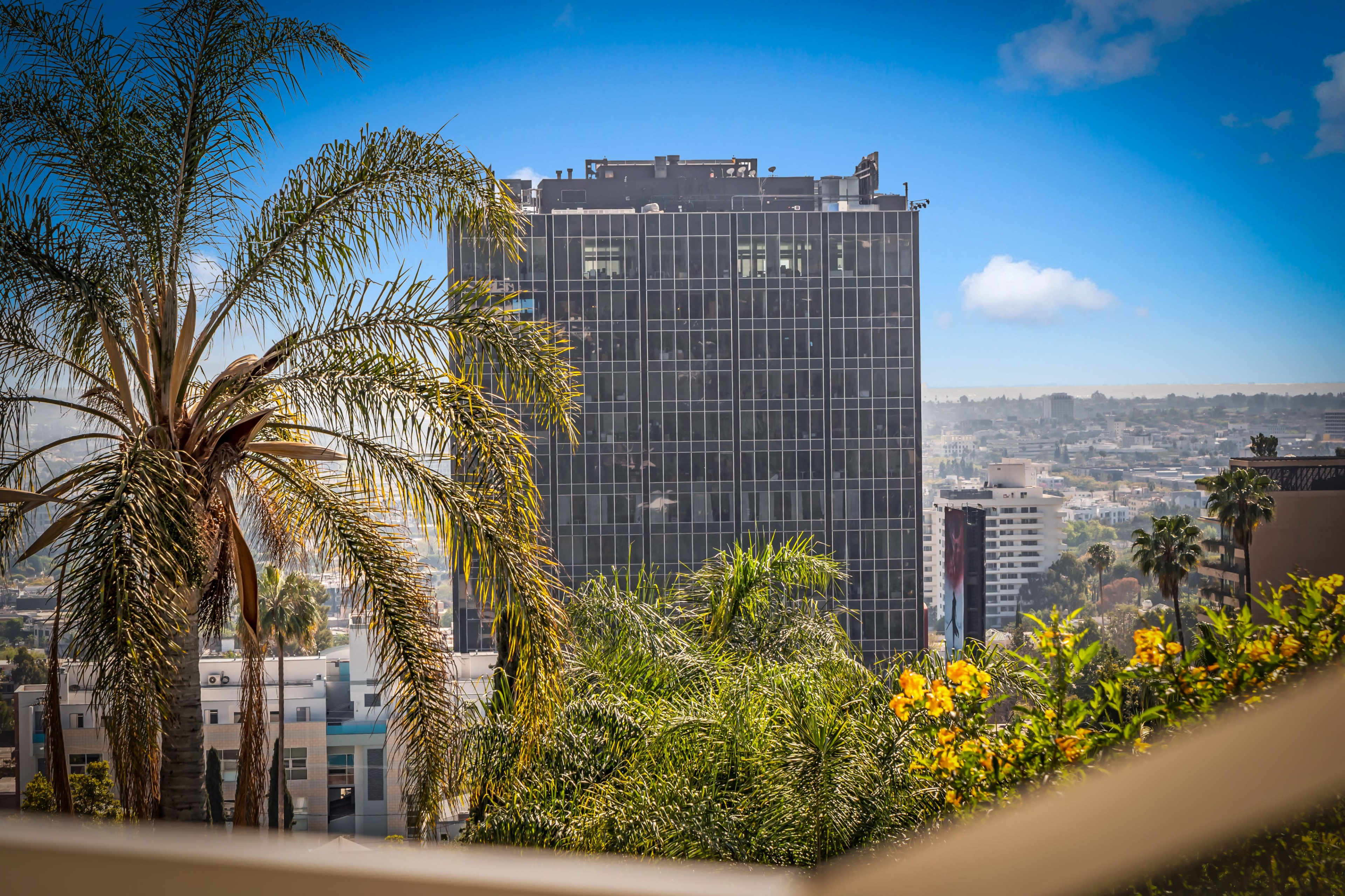 A modern glass building rises behind palm trees and blooming flowers under a blue sky in an urban setting.