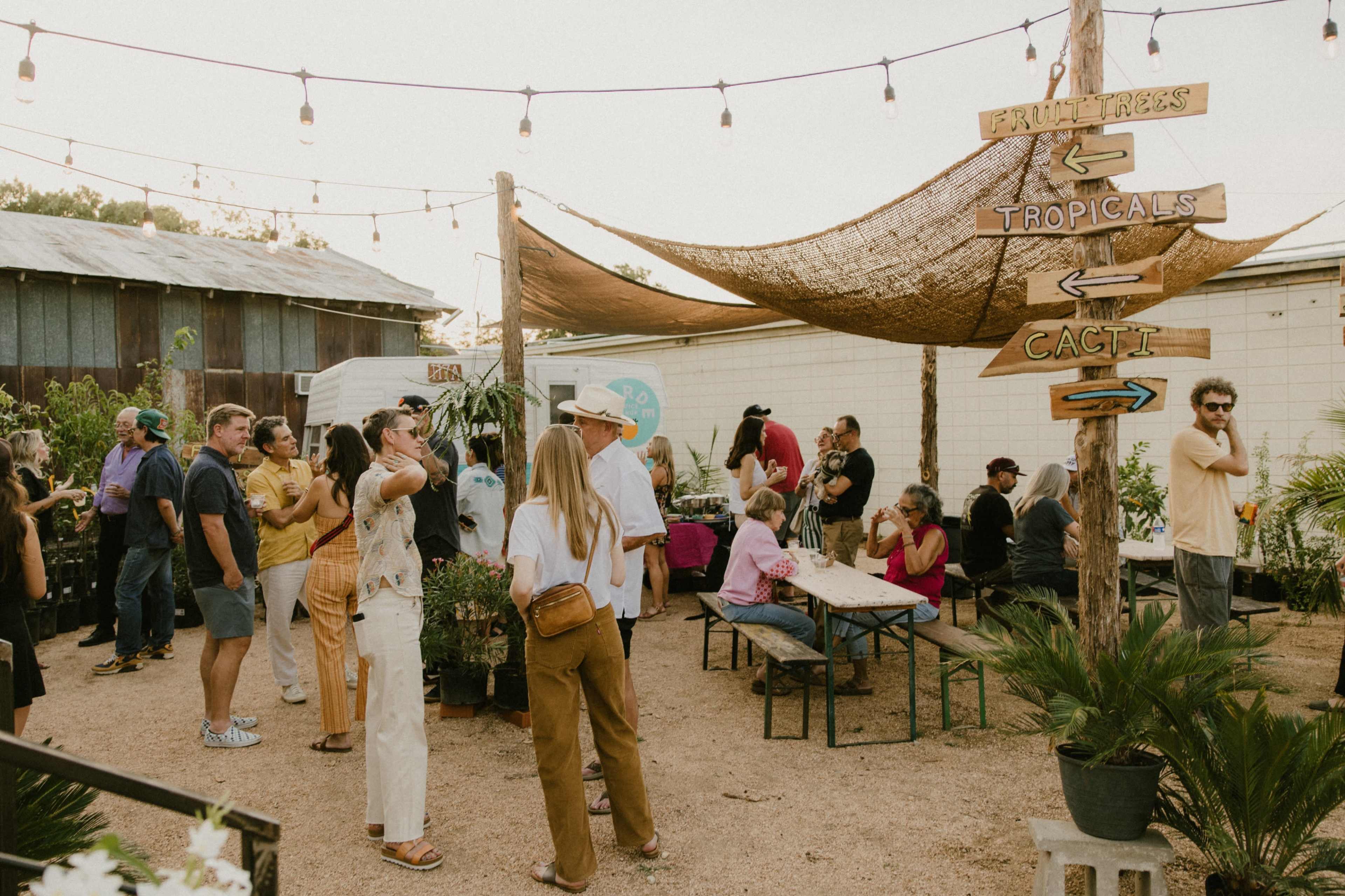 A diverse group of people socializes in a lively outdoor space adorned with plants and festive string lights.