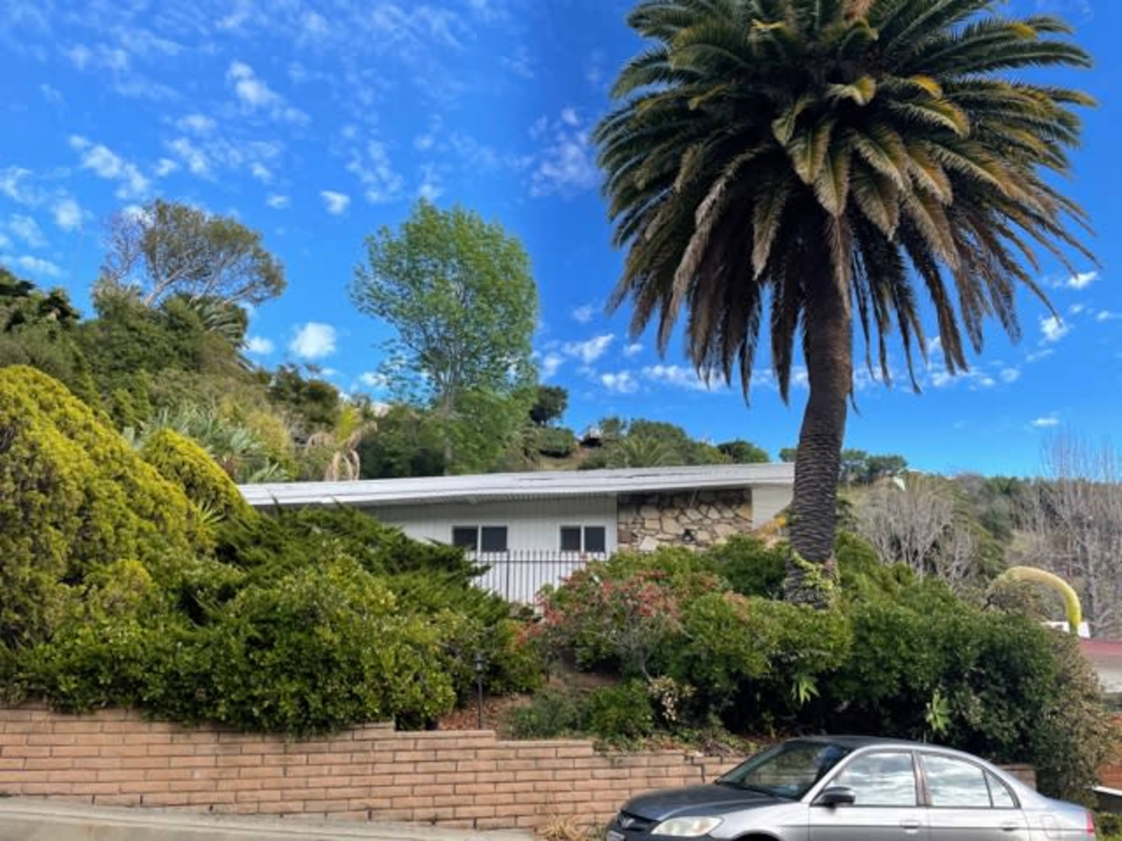 A single-story house is surrounded by lush greenery and a tall palm tree under a clear blue sky.