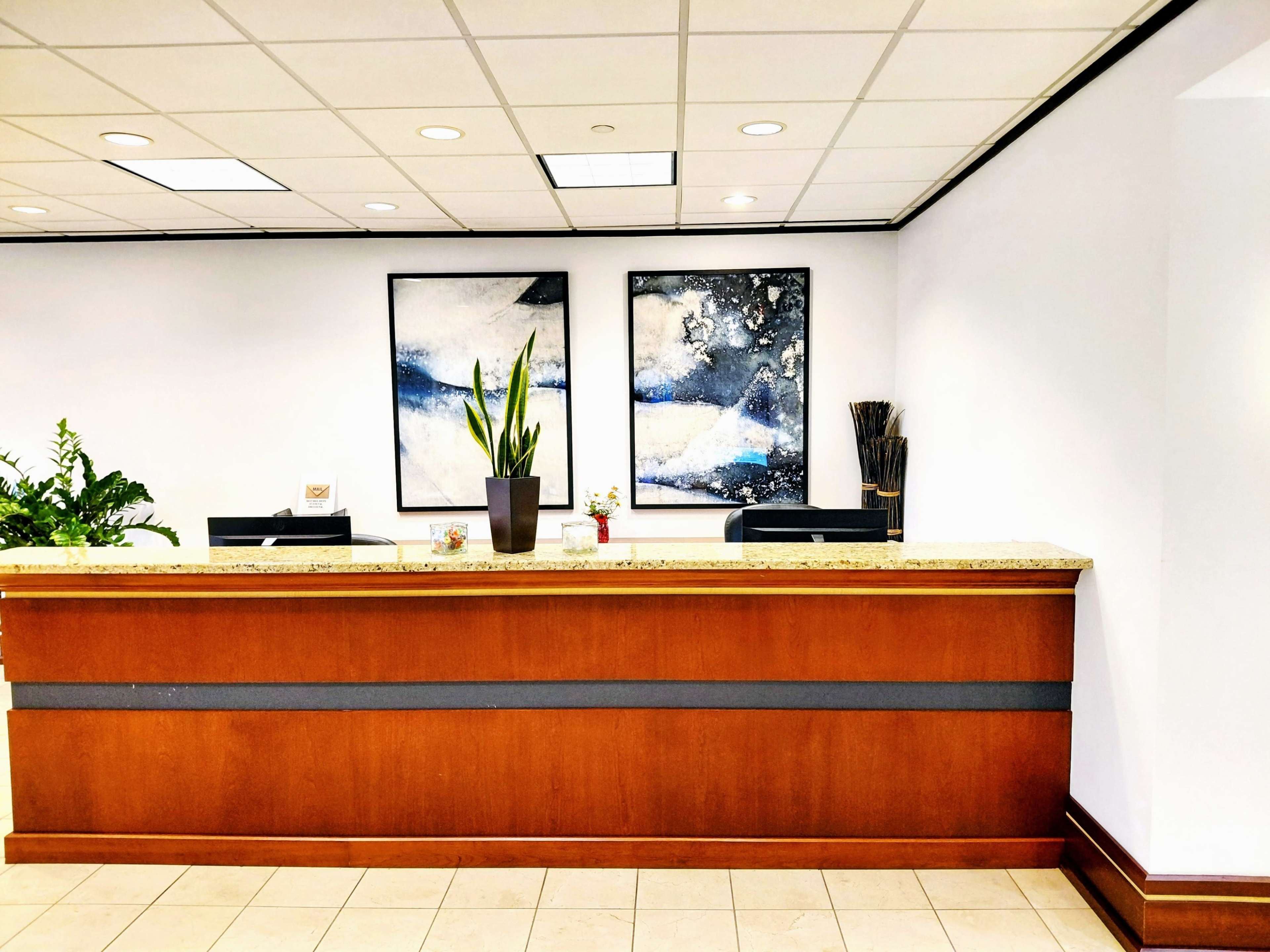 The image shows a reception area featuring a wooden front desk, a potted plant, and two framed abstract artworks on the wall.
