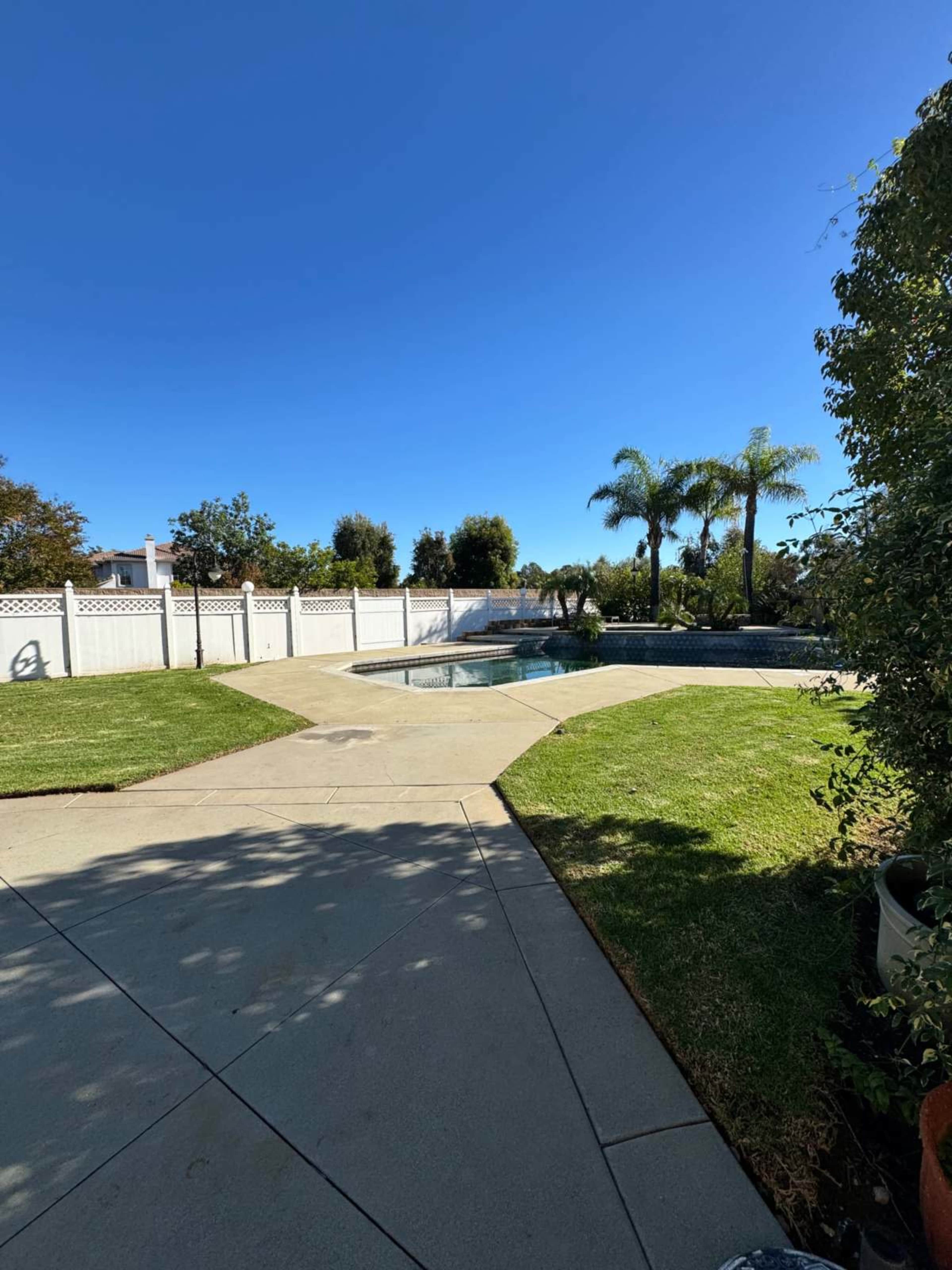 The scene shows a backyard with a swimming pool, surrounded by grass and palm trees, under a clear blue sky.