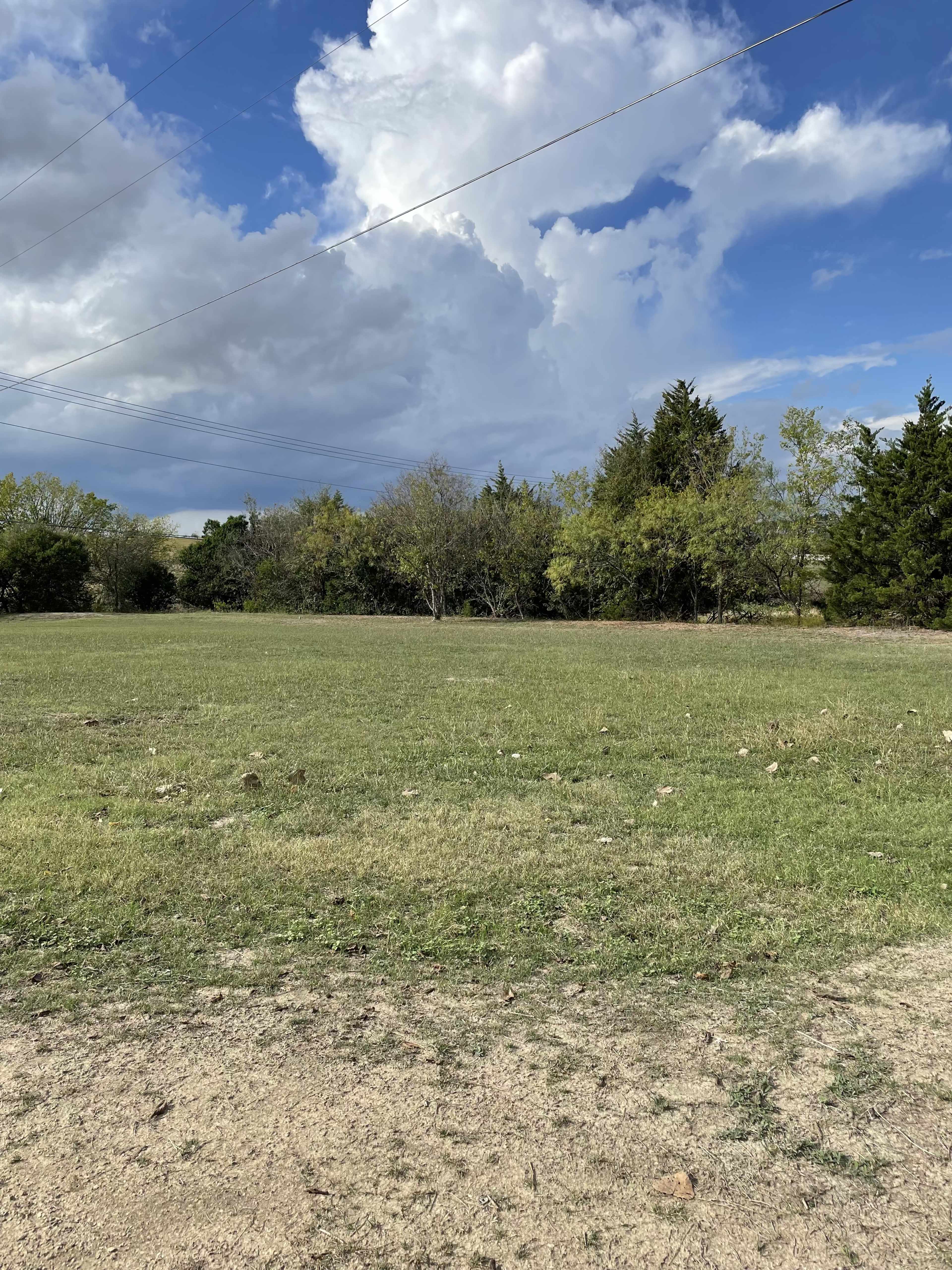 A grassy field under a partly cloudy sky with a line of trees in the background.