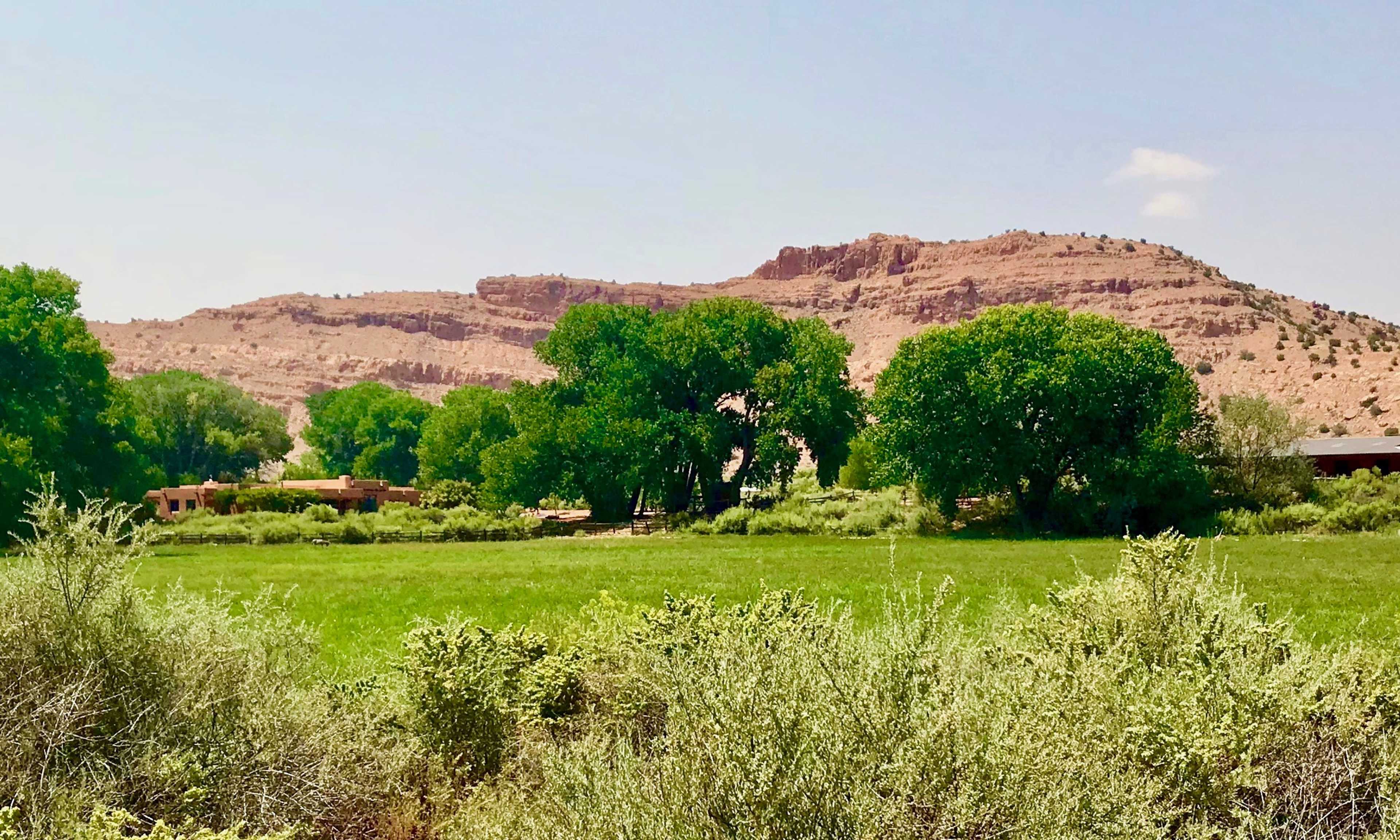 A green meadow bordered by large trees and shrubs sits at the foot of a rocky hillside under a clear sky.