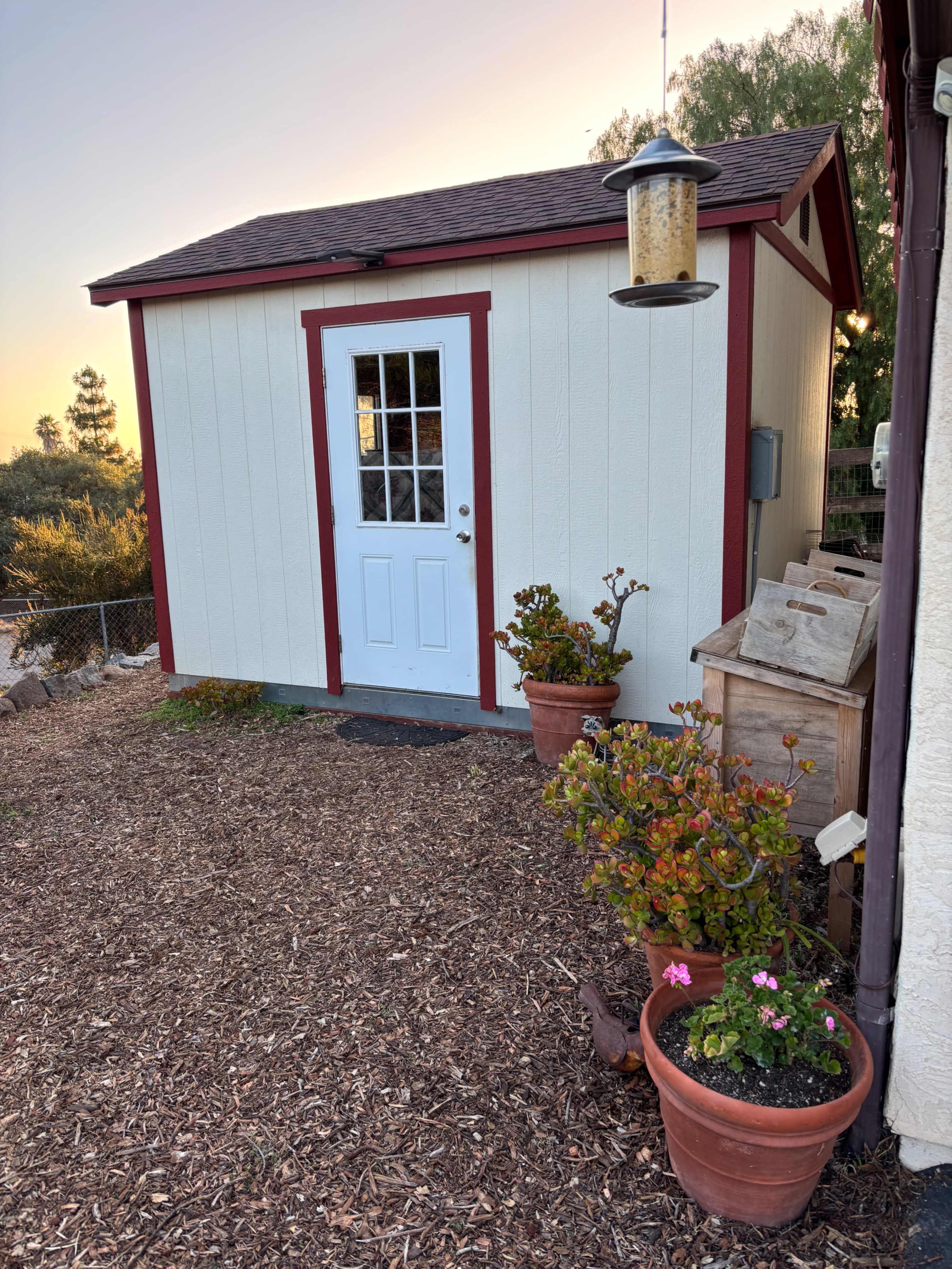 The image shows a small garden shed with a white door framed in red, surrounded by potted plants on a mulch-covered ground.