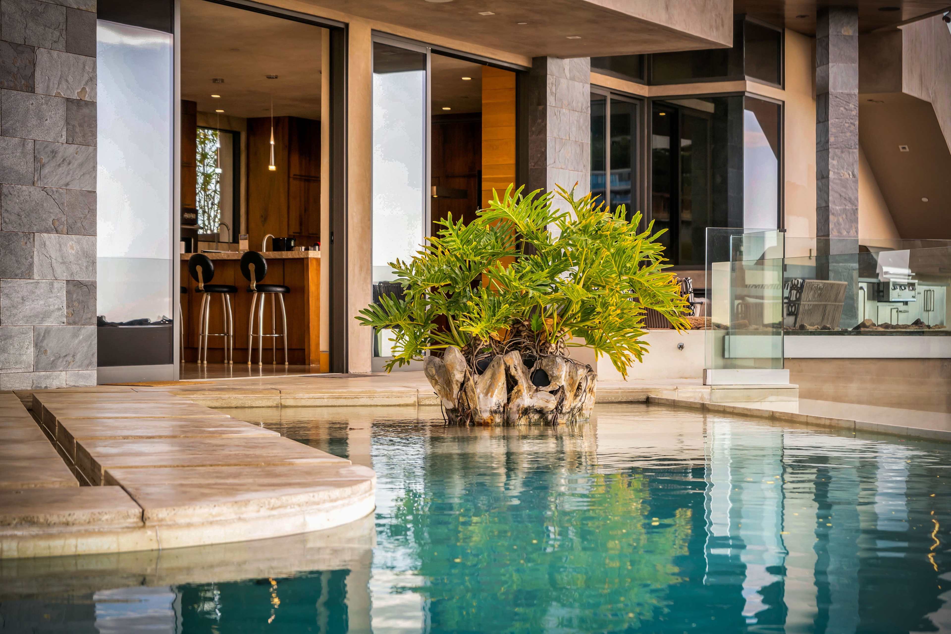 A modern indoor pool with a central island of greenery and a view of a kitchen in the background.