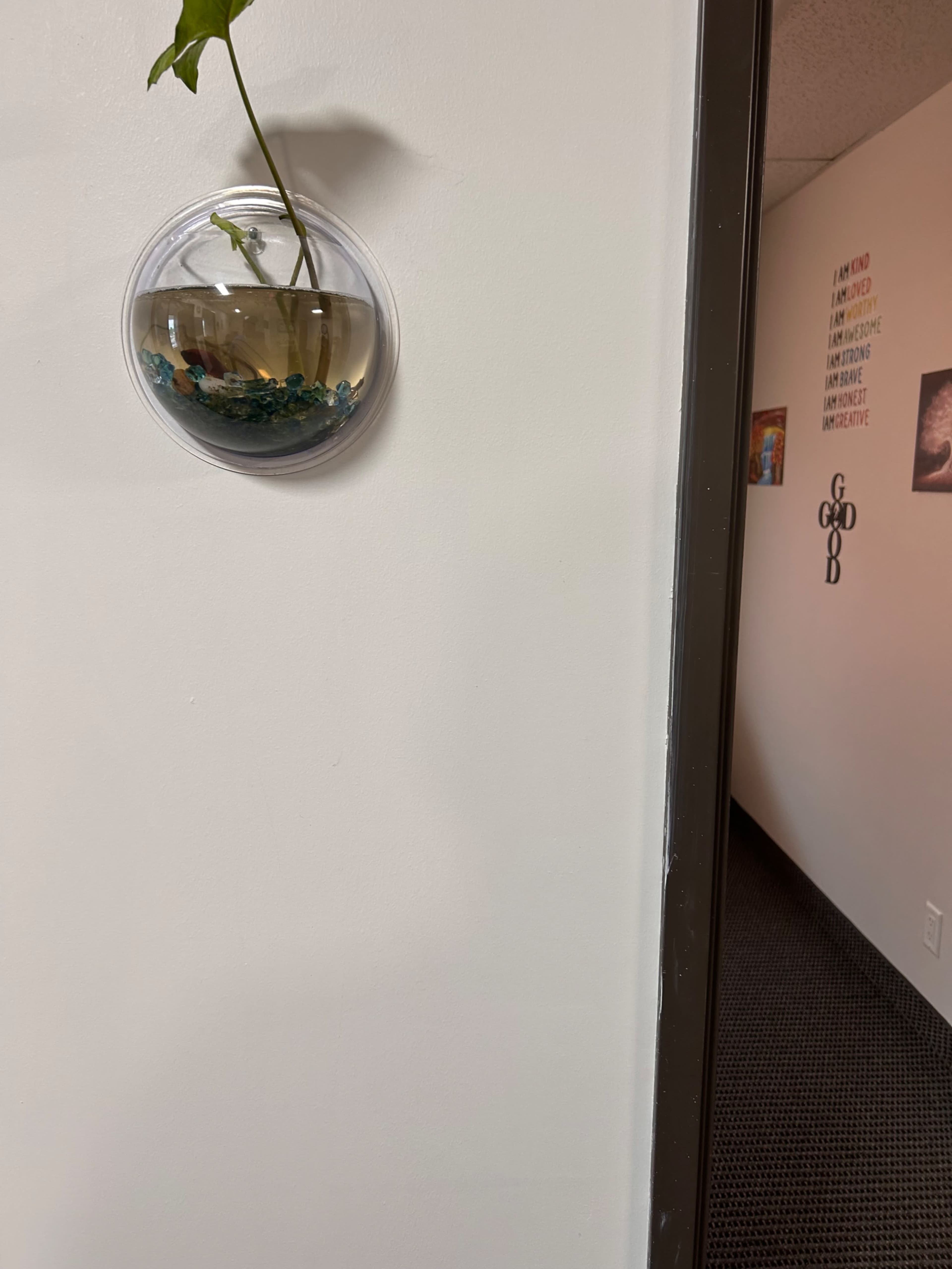A round, wall-mounted vase containing water and a plant is displayed next to a doorway leading to another room.