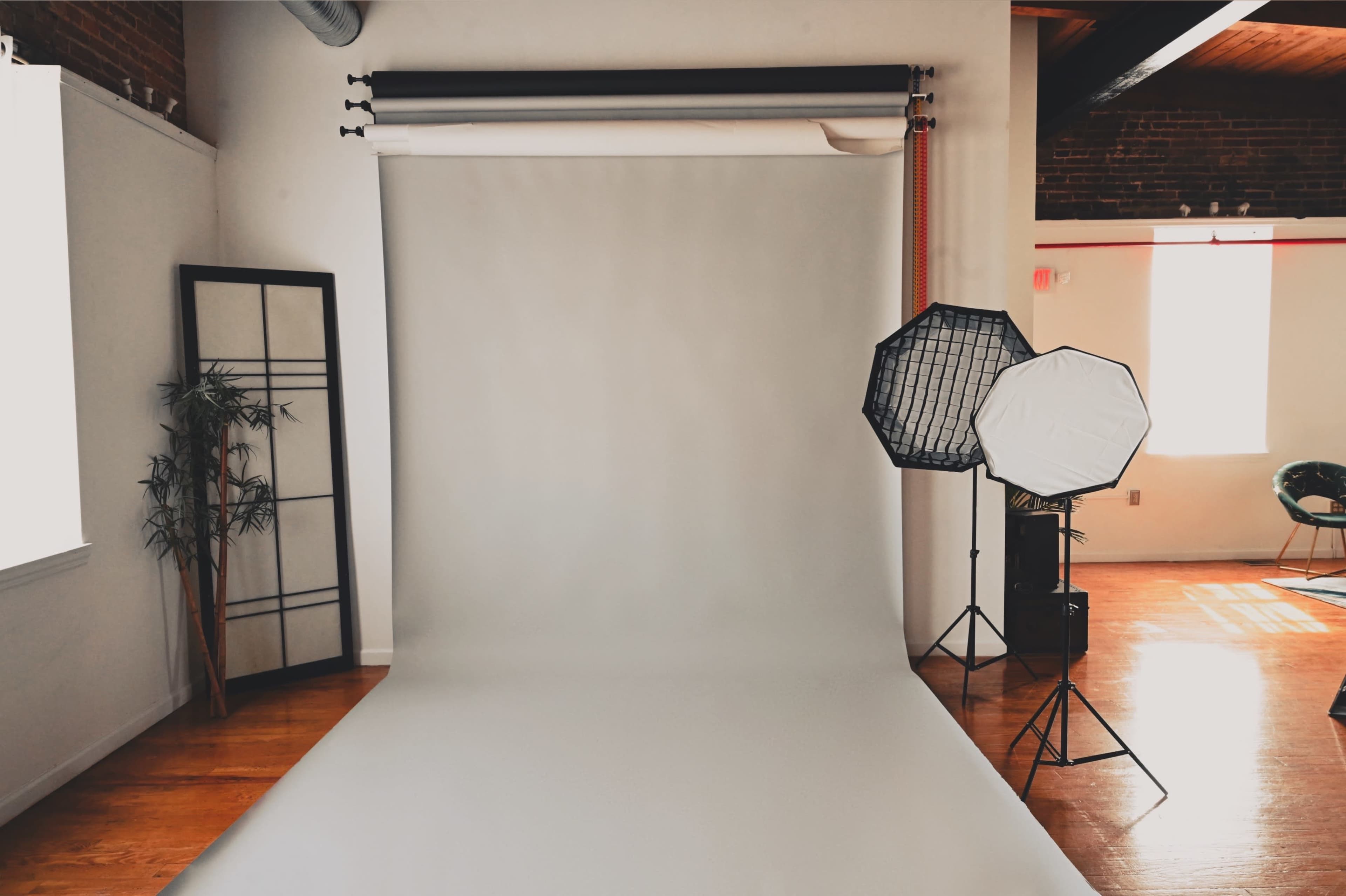 A photography studio with a plain backdrop set up, accompanied by light modifiers and a decorative plant.