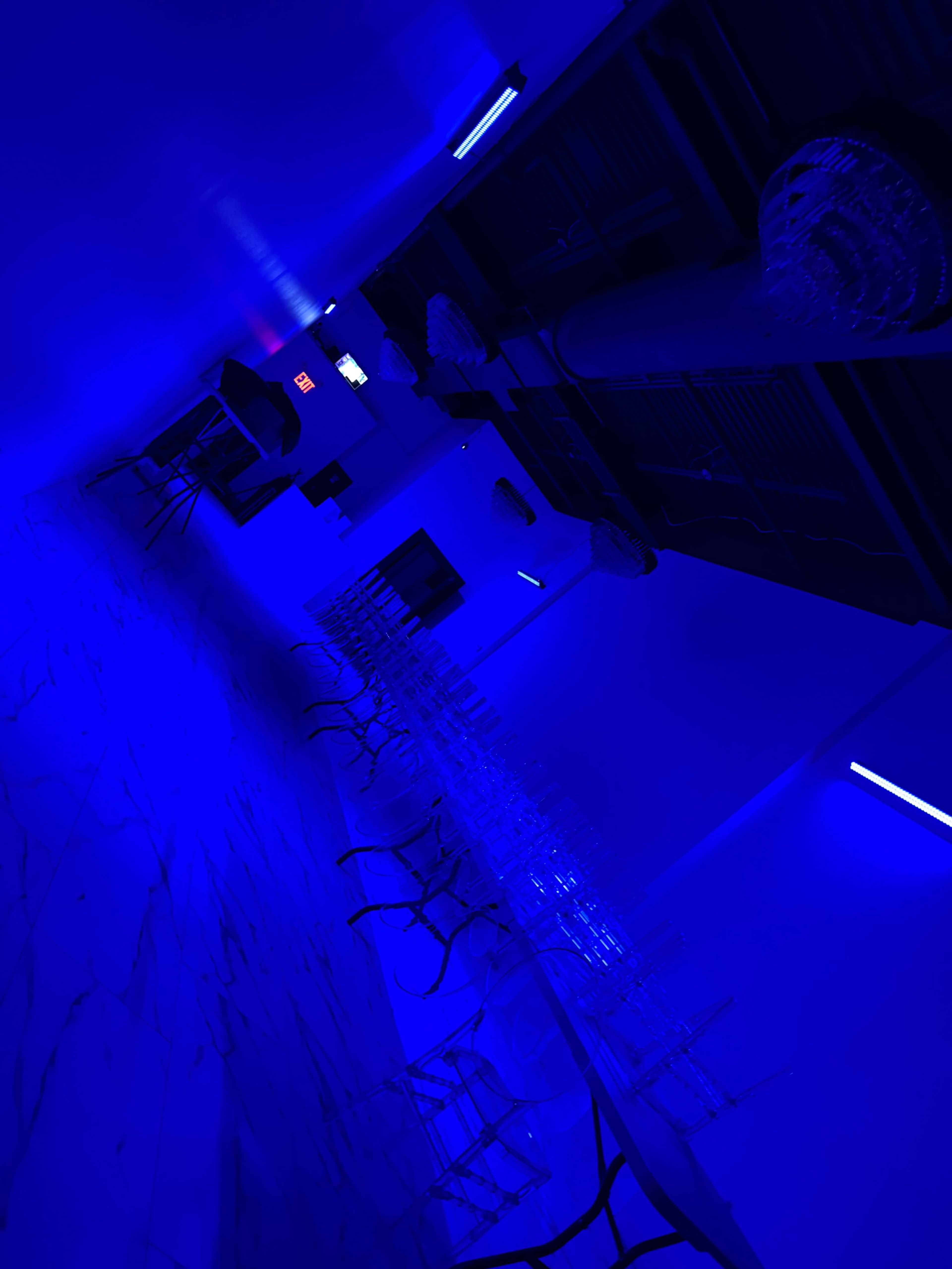 The image shows an empty room with blue lighting, featuring a row of clear chairs and minimal furnishings.