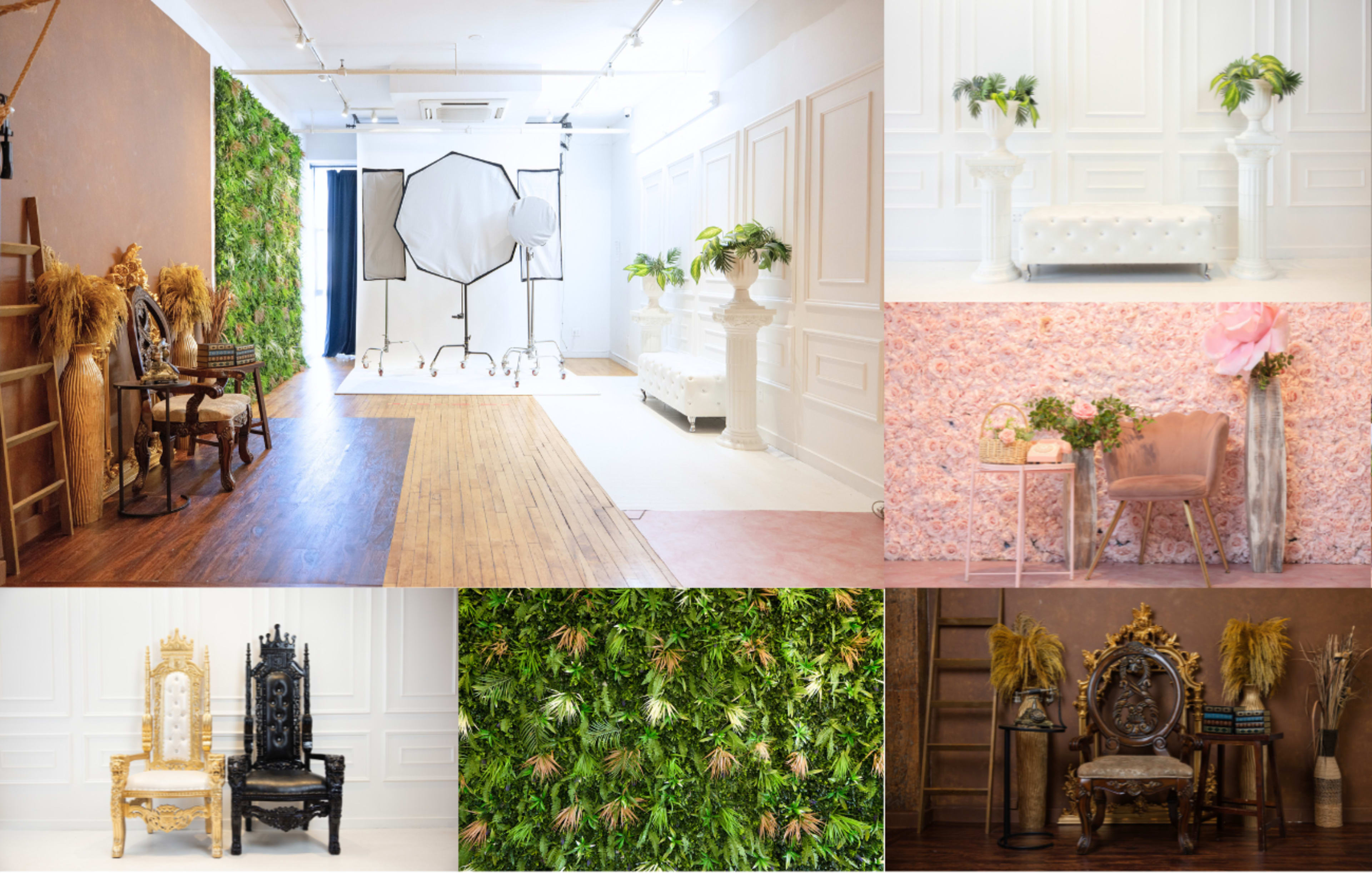 LIGHT STUDIO NYC EVERYTHING YOU NEED IN ONE FREE LIGHTING