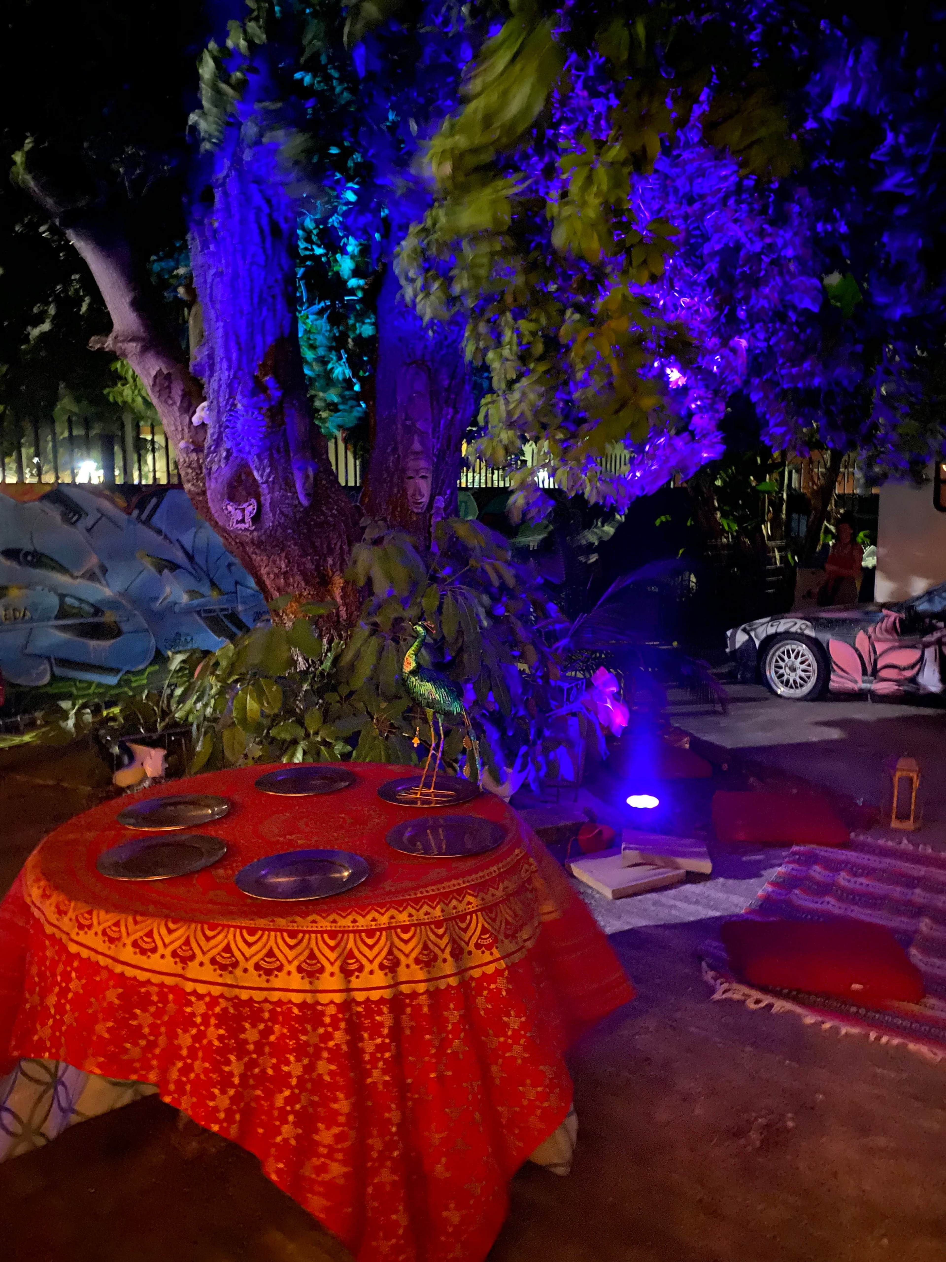 A table with plates is set under a large tree illuminated by colorful lights in an outdoor space.