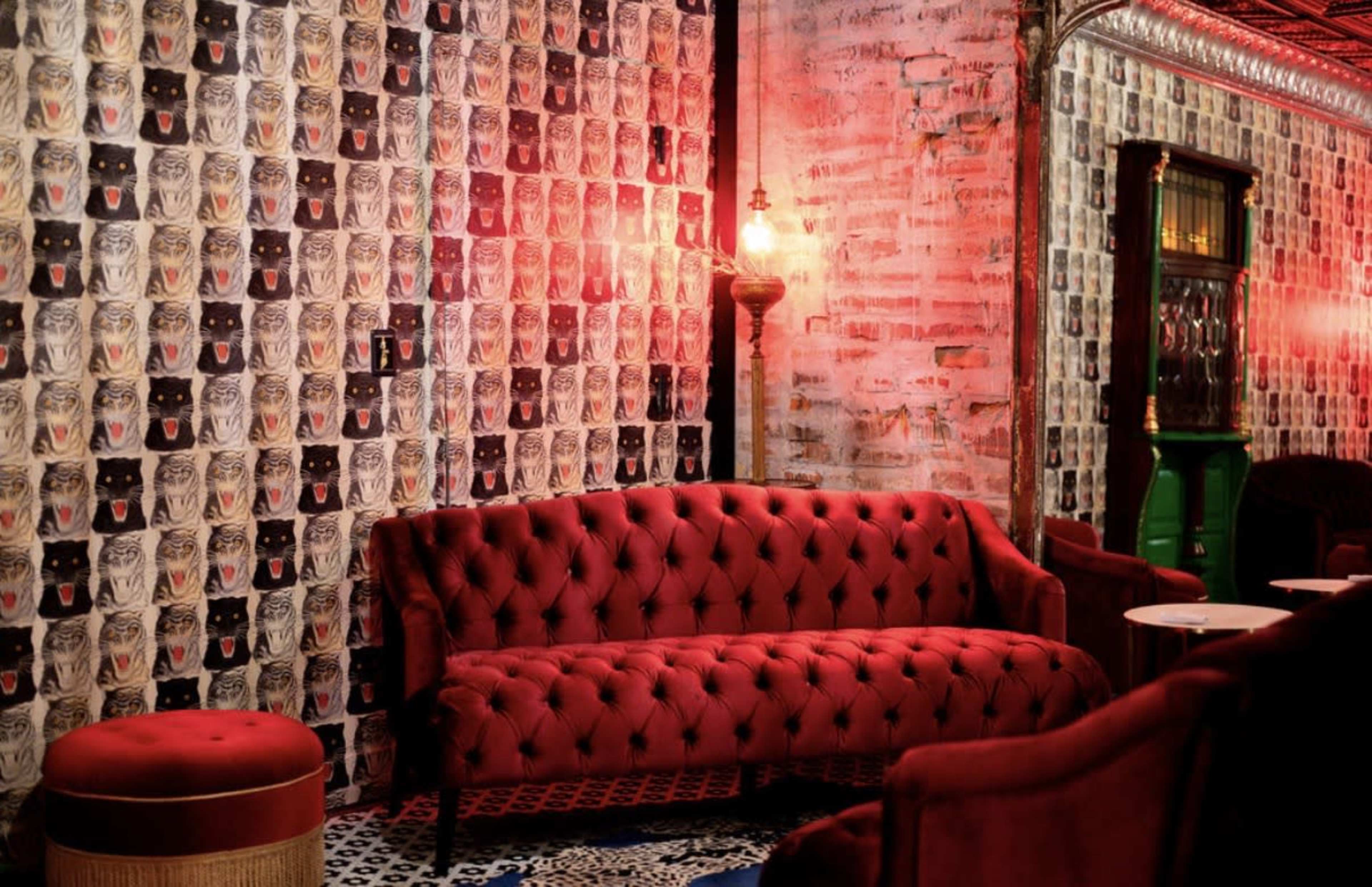 The image features a red velvet tufted sofa against a patterned wall adorned with repeated images of cats.