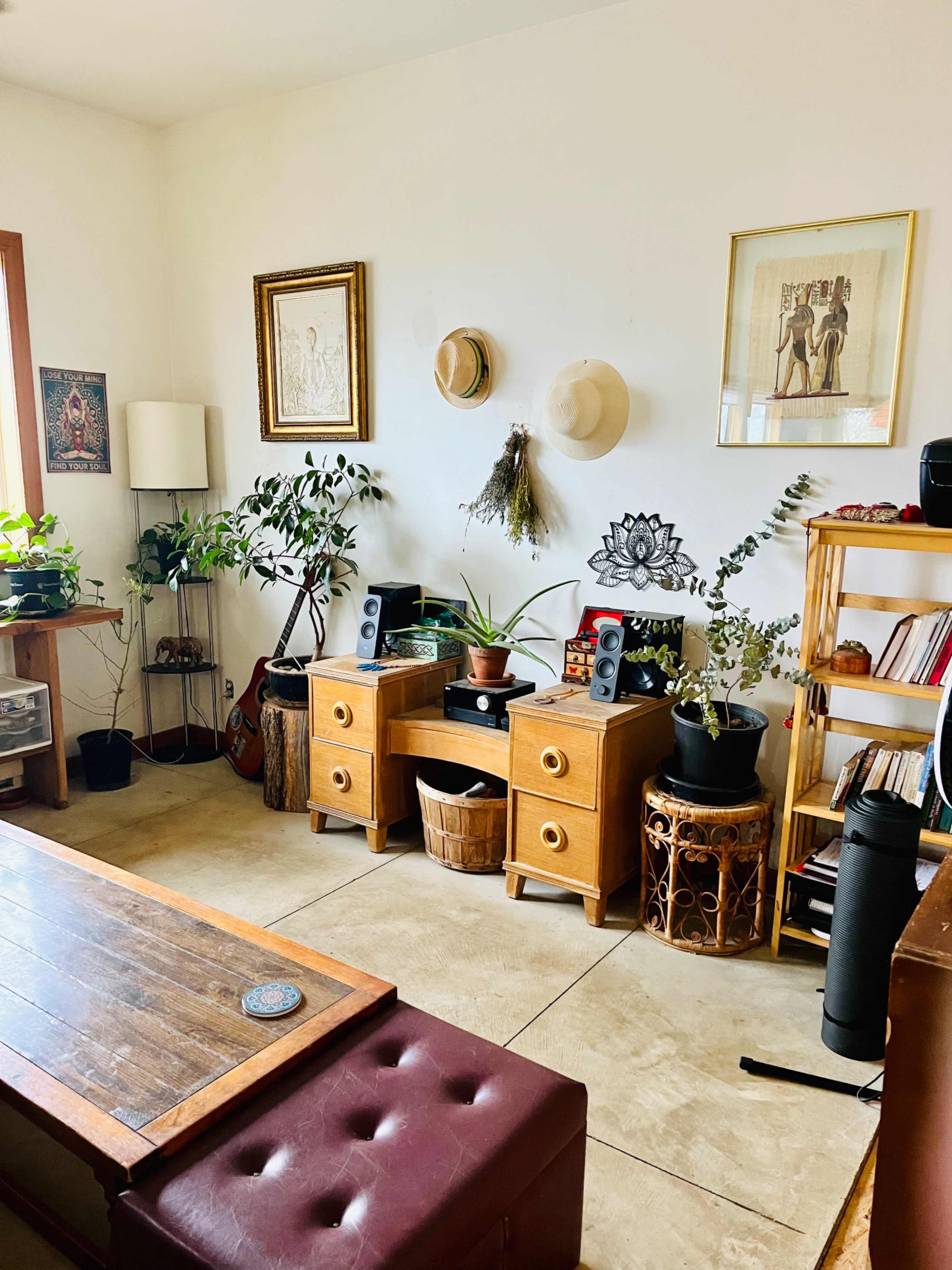 A cozy living room features a wooden coffee table, potted plants, a low cabinet with speakers, and artwork on the walls.