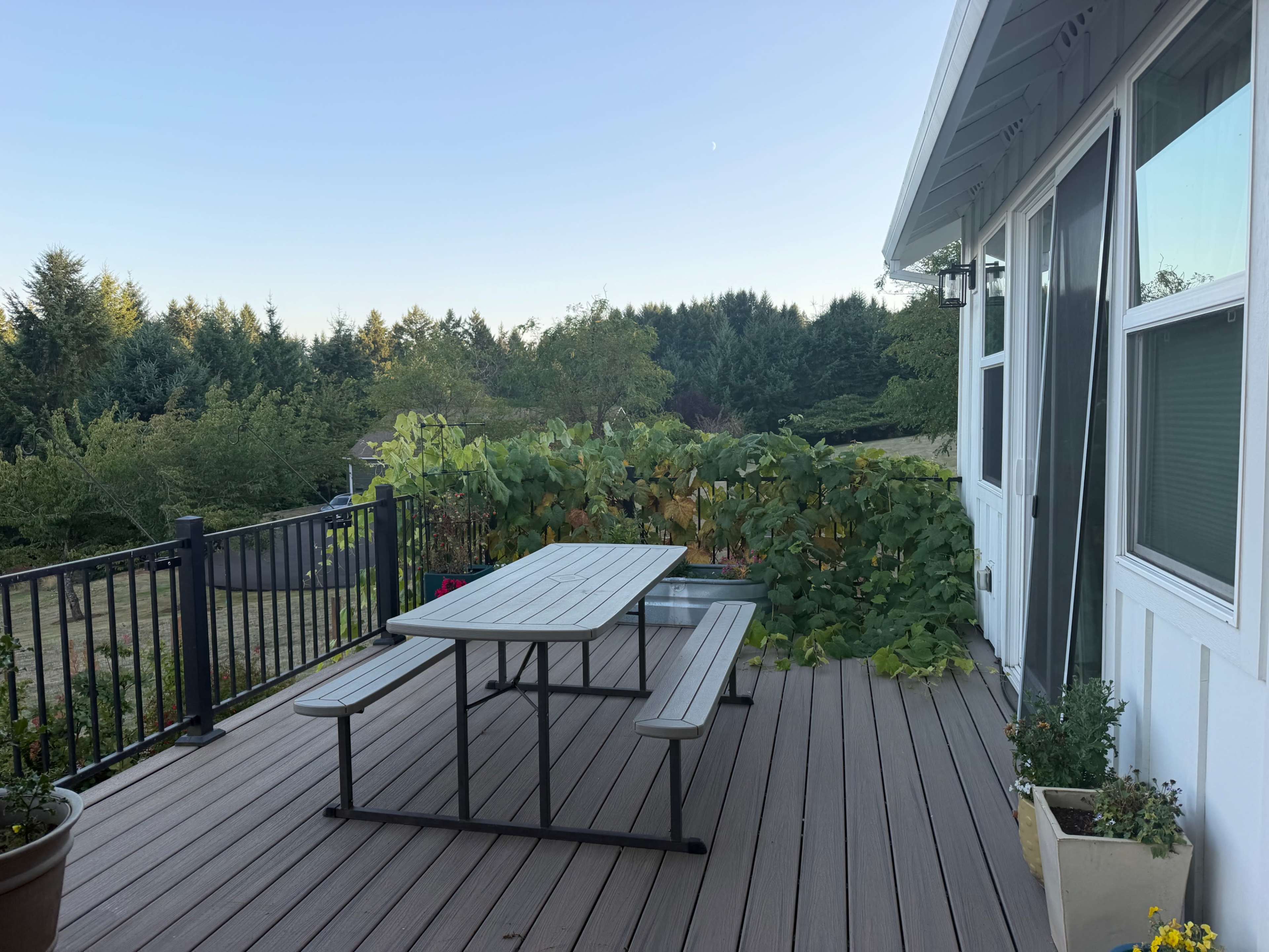 A wooden deck features a picnic table surrounded by climbing plants and a view of trees in the background.