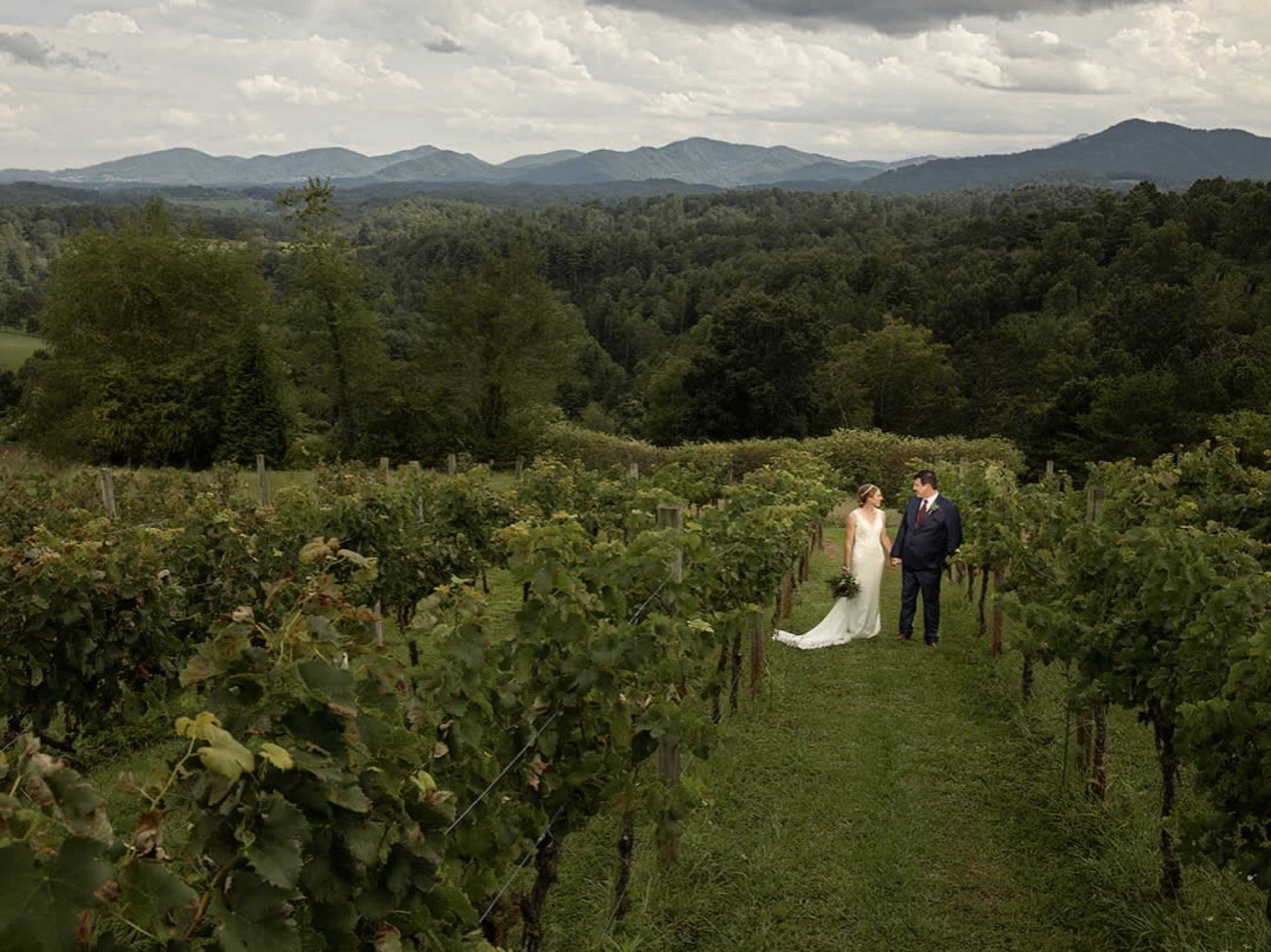 A couple stands together in a vineyard, surrounded by rows of grapevines and a backdrop of mountains under a cloudy sky.