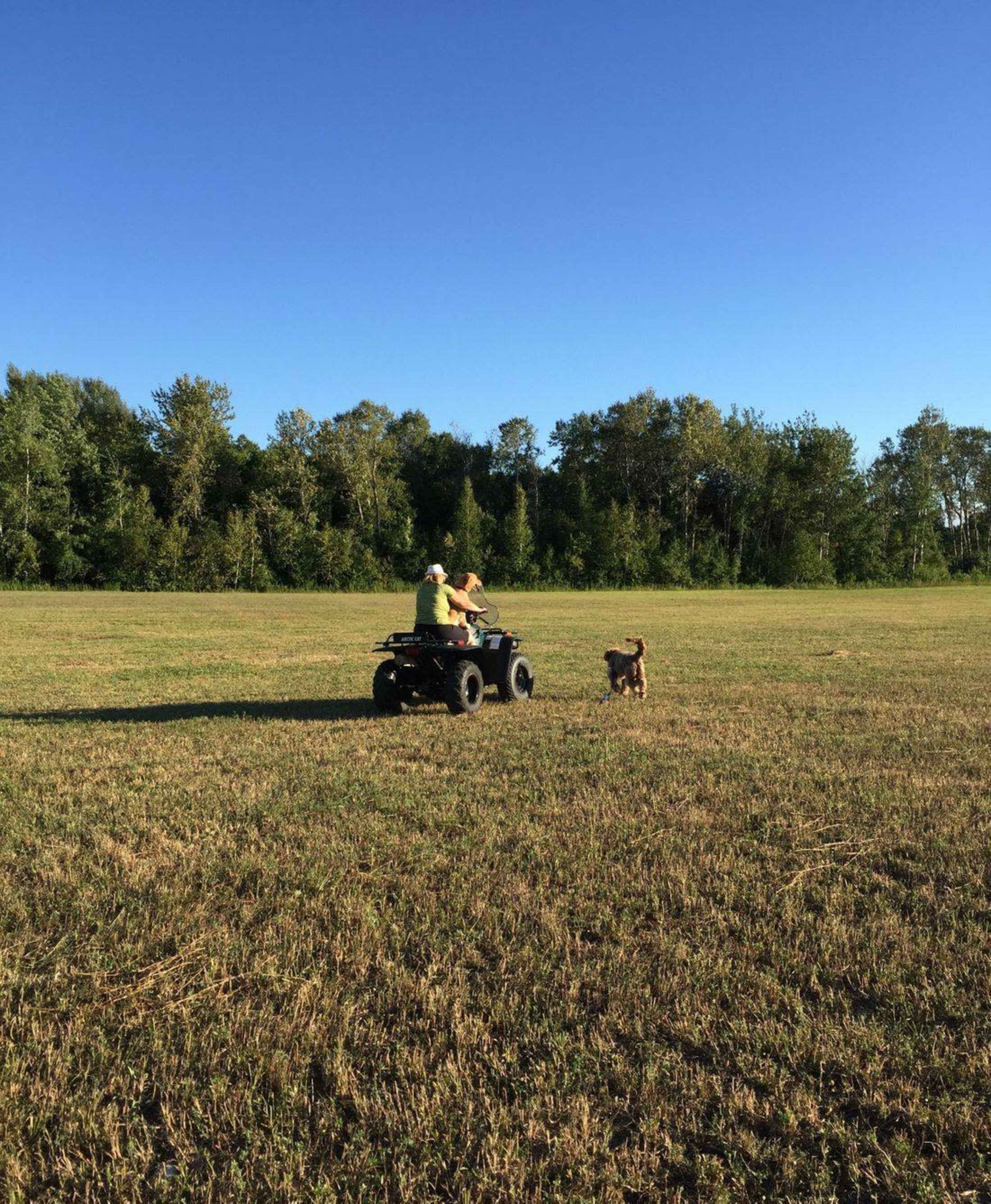 Two people ride an ATV in a field while a dog runs alongside them under a clear blue sky.