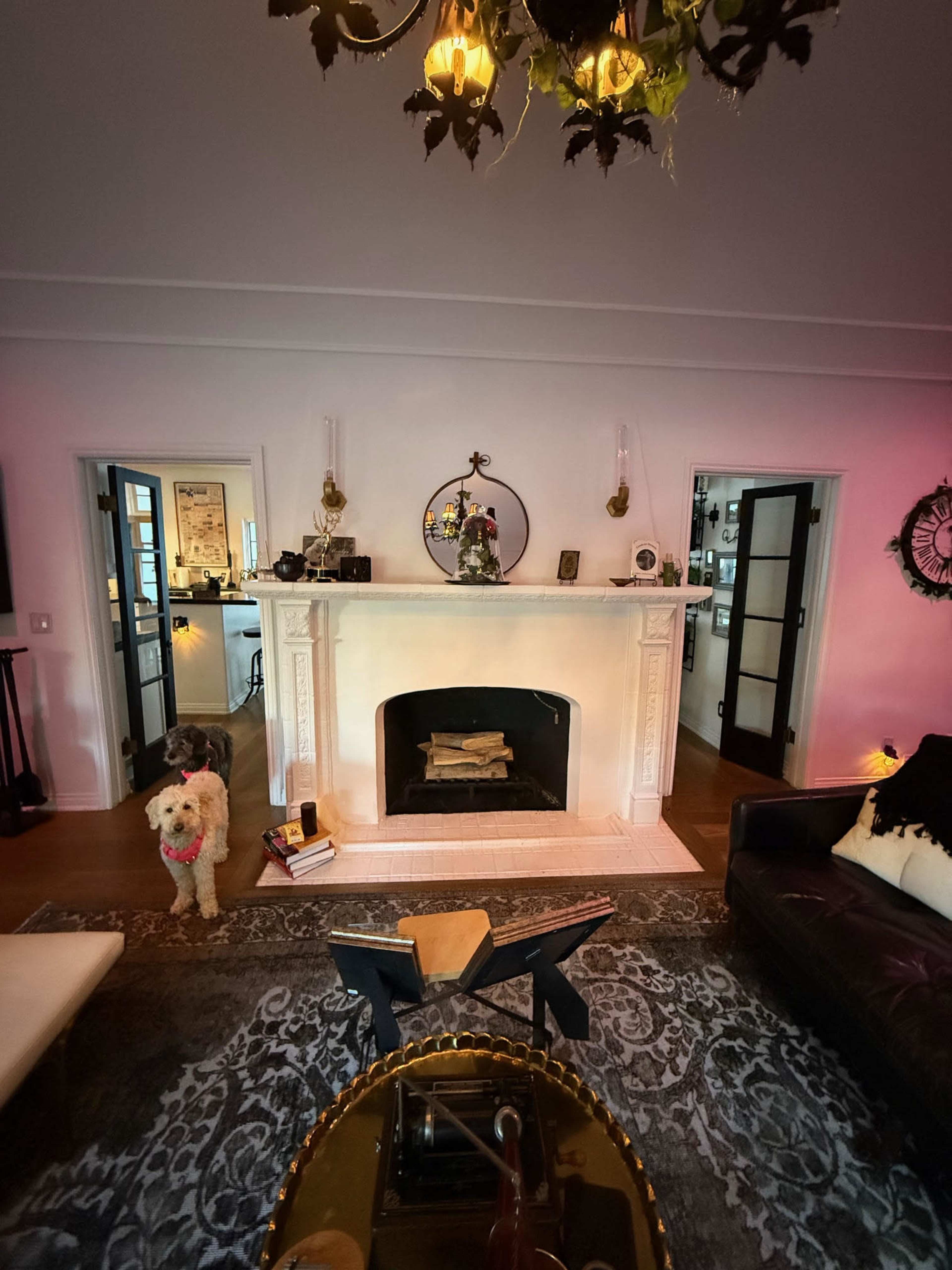 Old Hollywood Los Feliz Eclectic Home / 3 bedroom / 4 Bath / Pool/ Sauna / Cold Plunge / Yard / Gym (indoor + outdoor) Image in Los Feliz, Los Angeled, CA