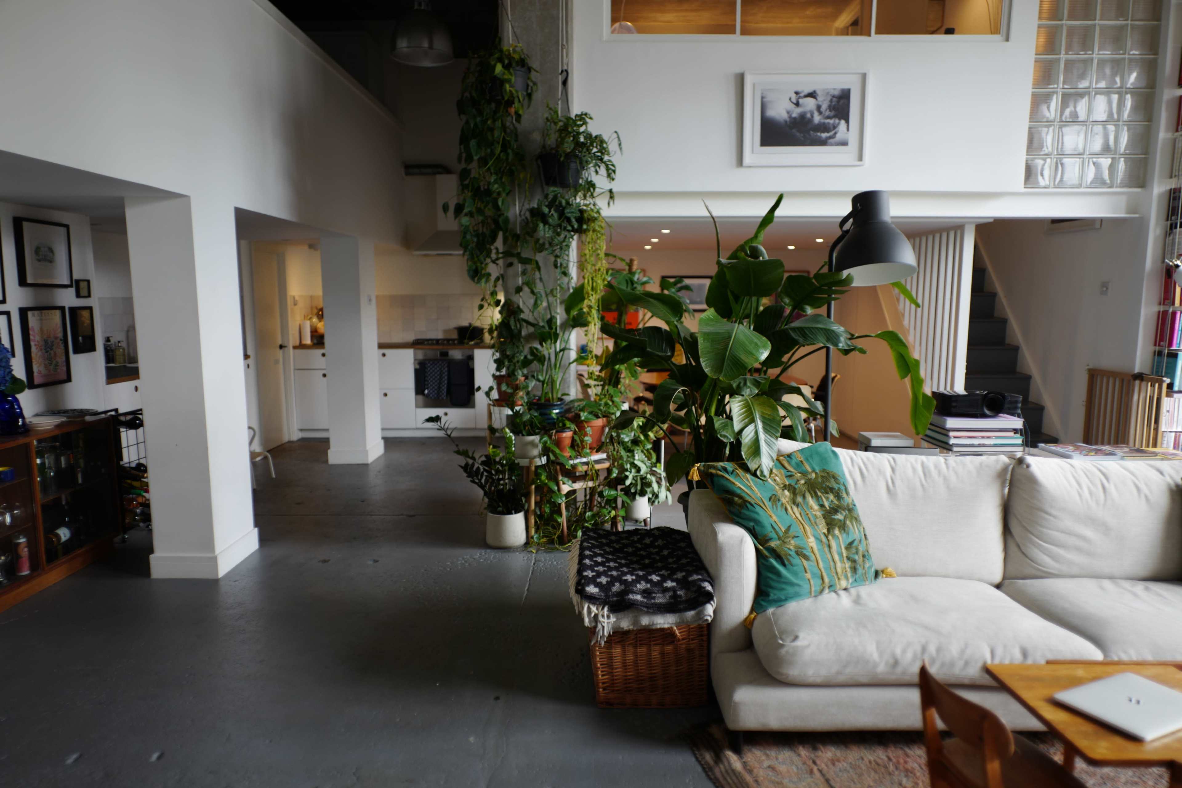 The image shows a spacious living area with a light-colored sofa, large potted plants, and an open design leading to a kitchen space.