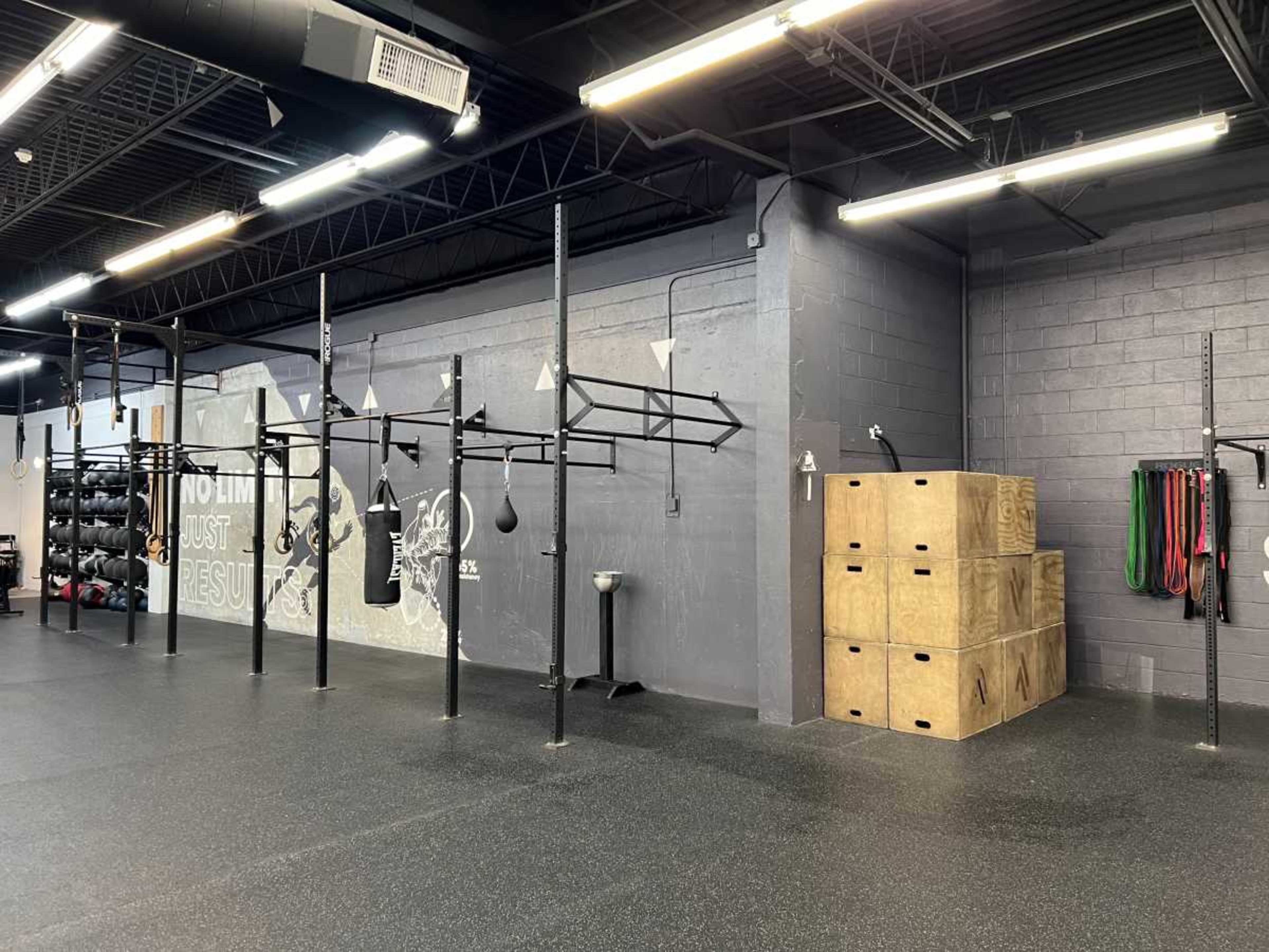 Spacious gym, with CrossFit Area, olympic lifting platforms, outdoor area, sauna, cold plunge, Image in New Rochelle, New Rochelle, NY