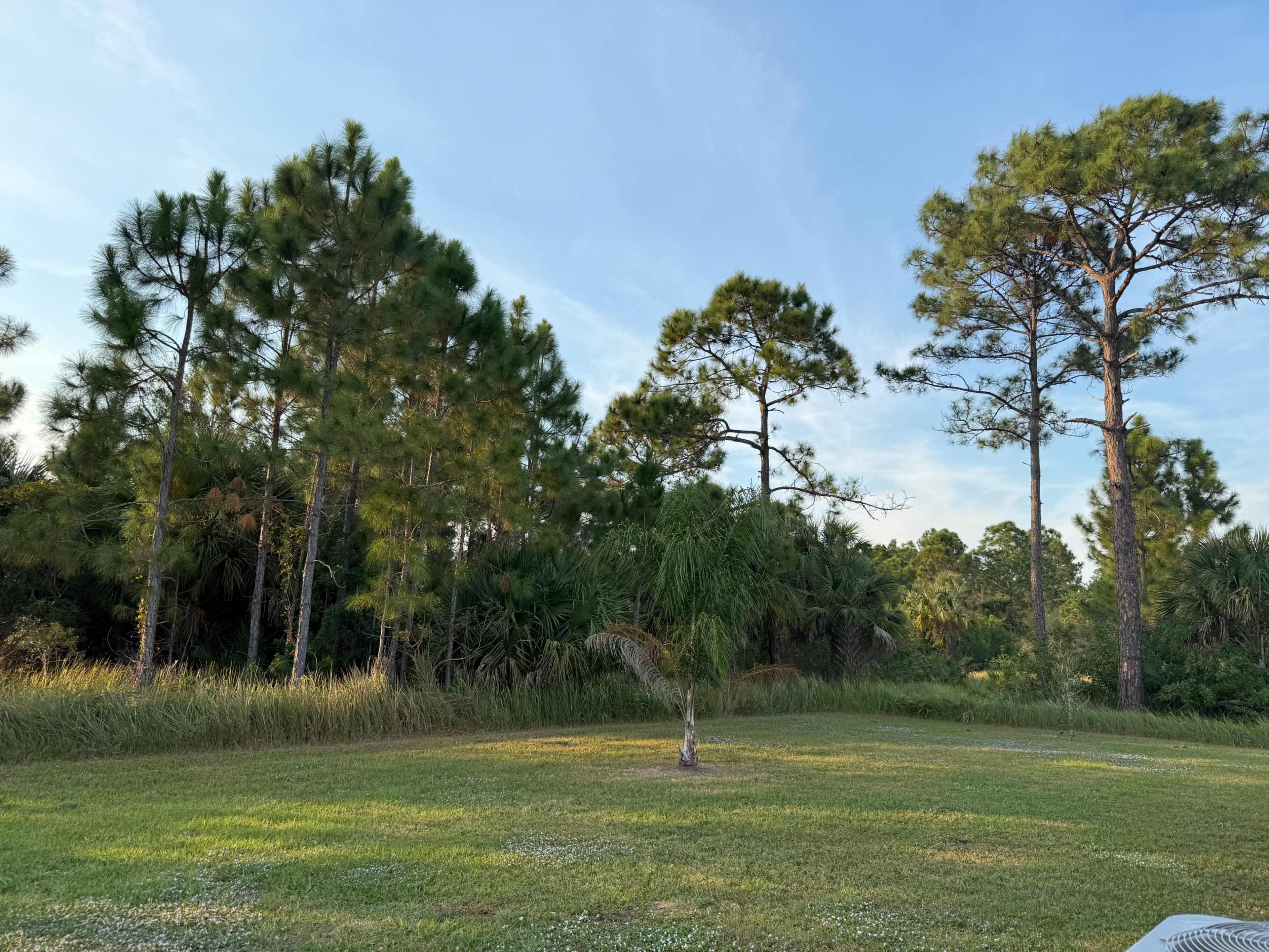 Modern Home with a serene space Image in Palm Bay, Palm Bay, FL