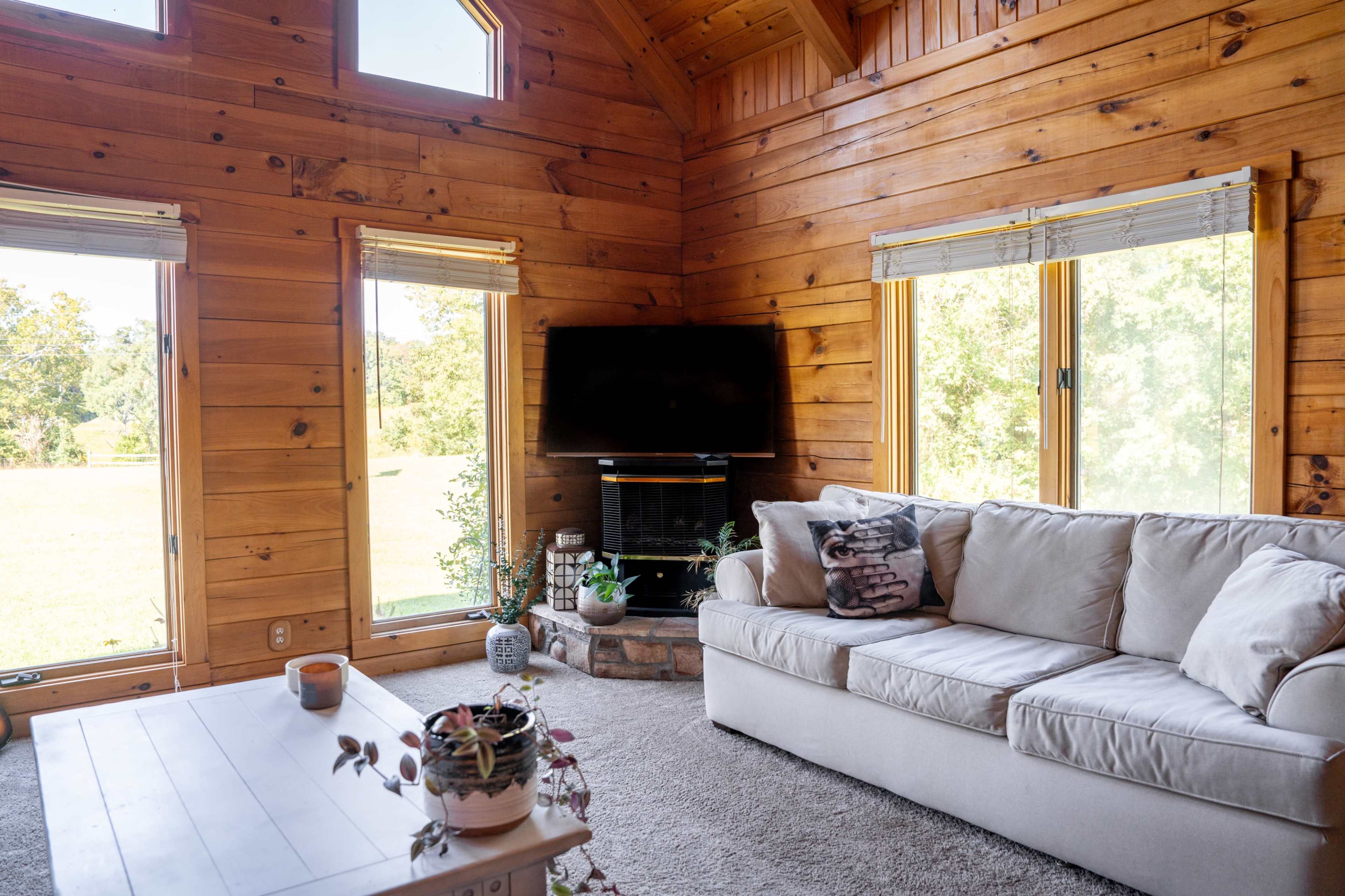 The scene features a cozy, wooden-paneled living room with a large sofa, a coffee table, and a television set beside expansive windows that offer a view of greenery outside.