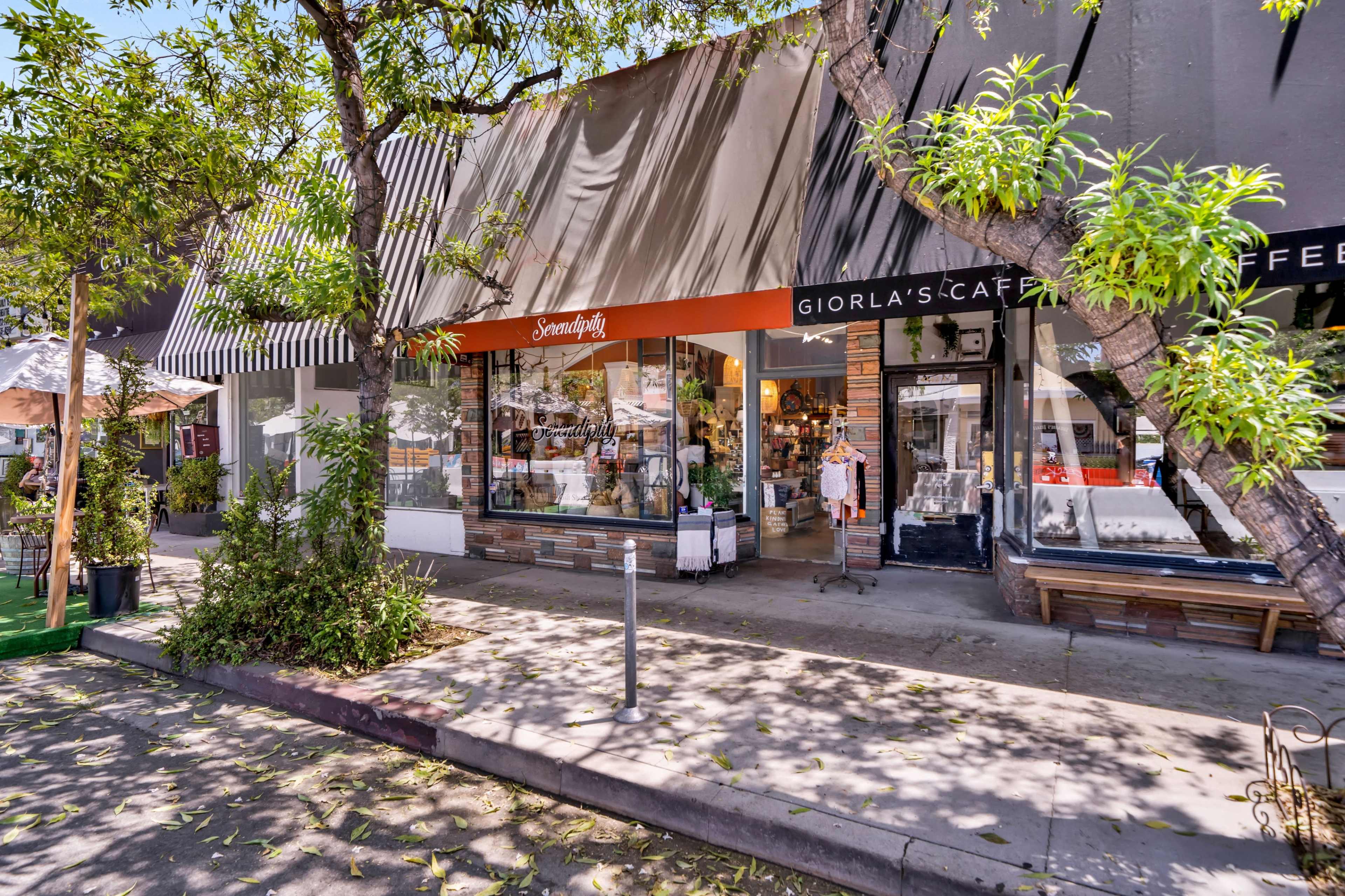 The image shows a street scene featuring a storefront labeled "Serendipity" and neighboring "Giorla's Café," with trees lining the sidewalk.