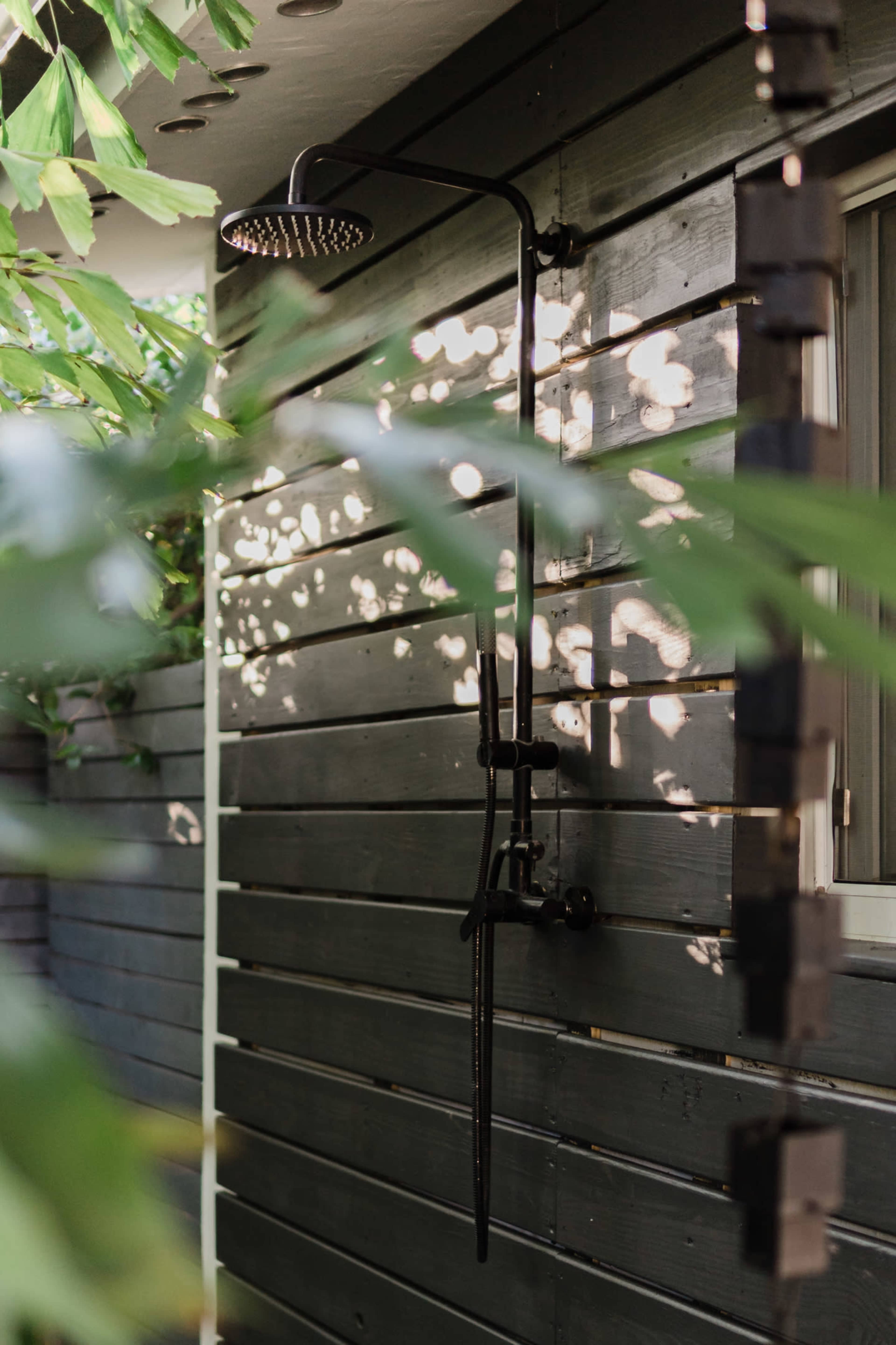 An outdoor shower fixture is mounted on a dark wooden wall, surrounded by green foliage.