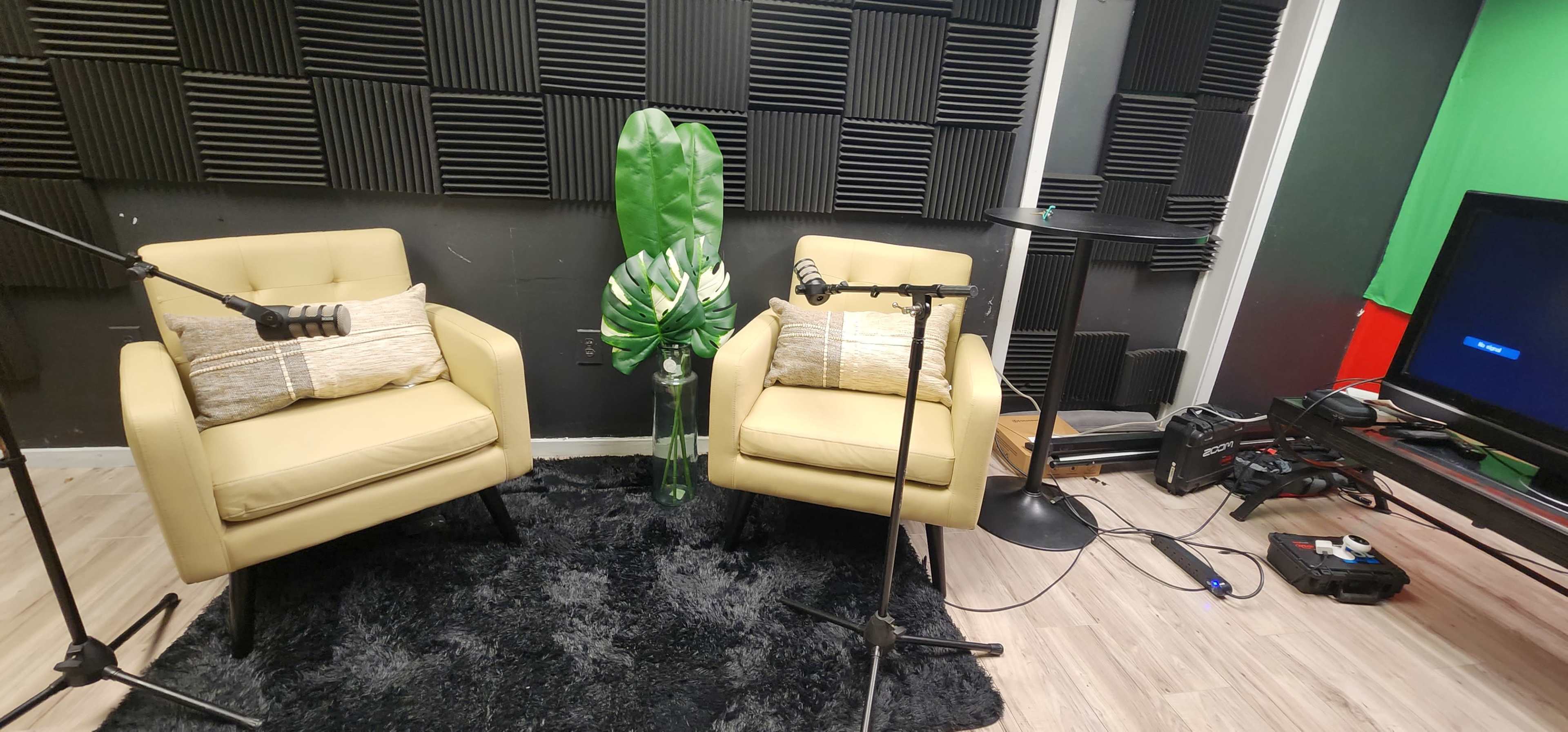 The image shows a recording studio setup featuring two beige chairs with microphones, a green plant decoration, and a black rug on the floor.