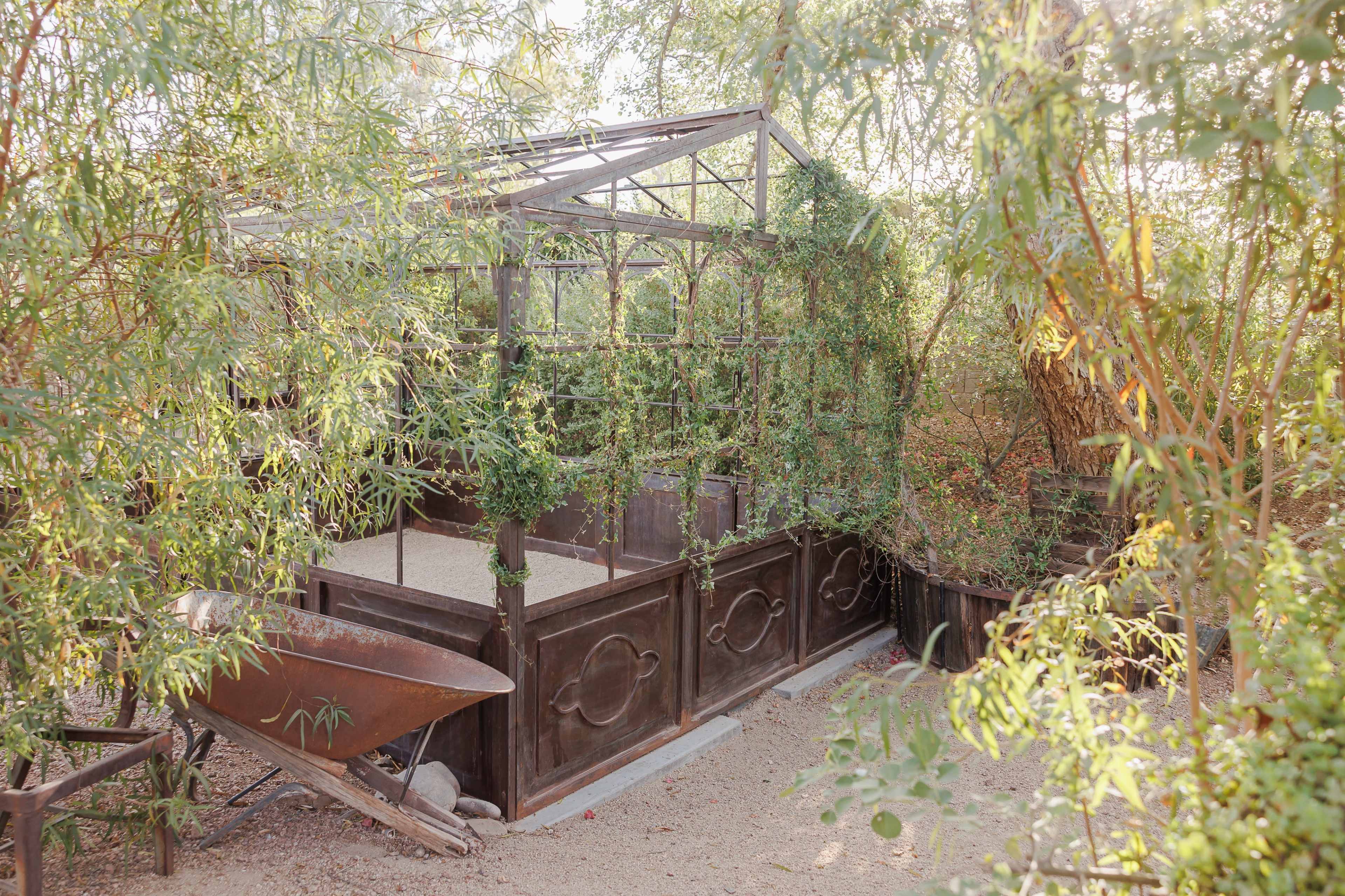 A metal-framed greenhouse, partially covered in vines, is surrounded by greenery and features a wheelbarrow nearby.