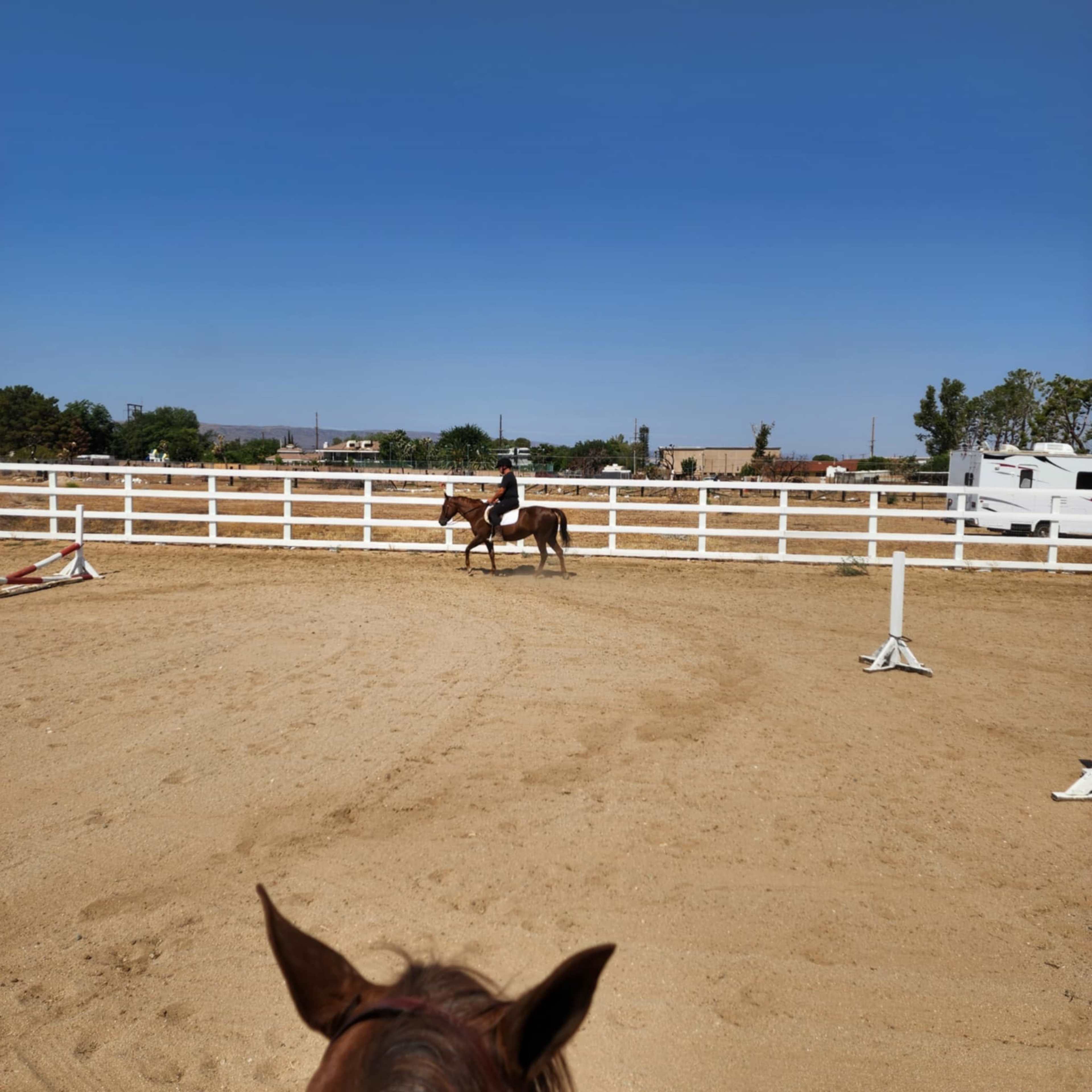 A person on horseback rides in an enclosed sandy arena surrounded by a white fence.