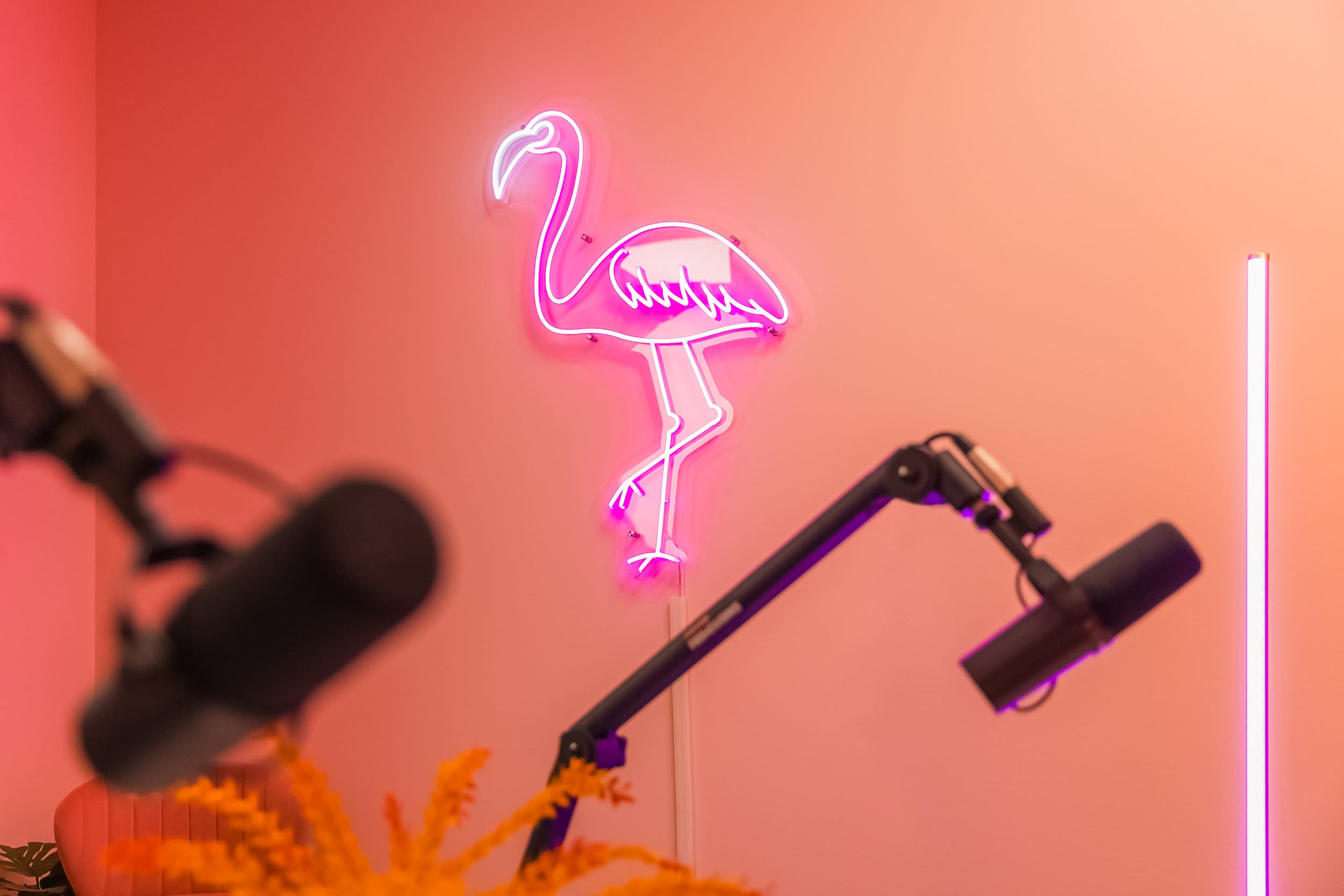 A pink neon flamingo light is mounted on a wall, with microphone stands blurred in the foreground.