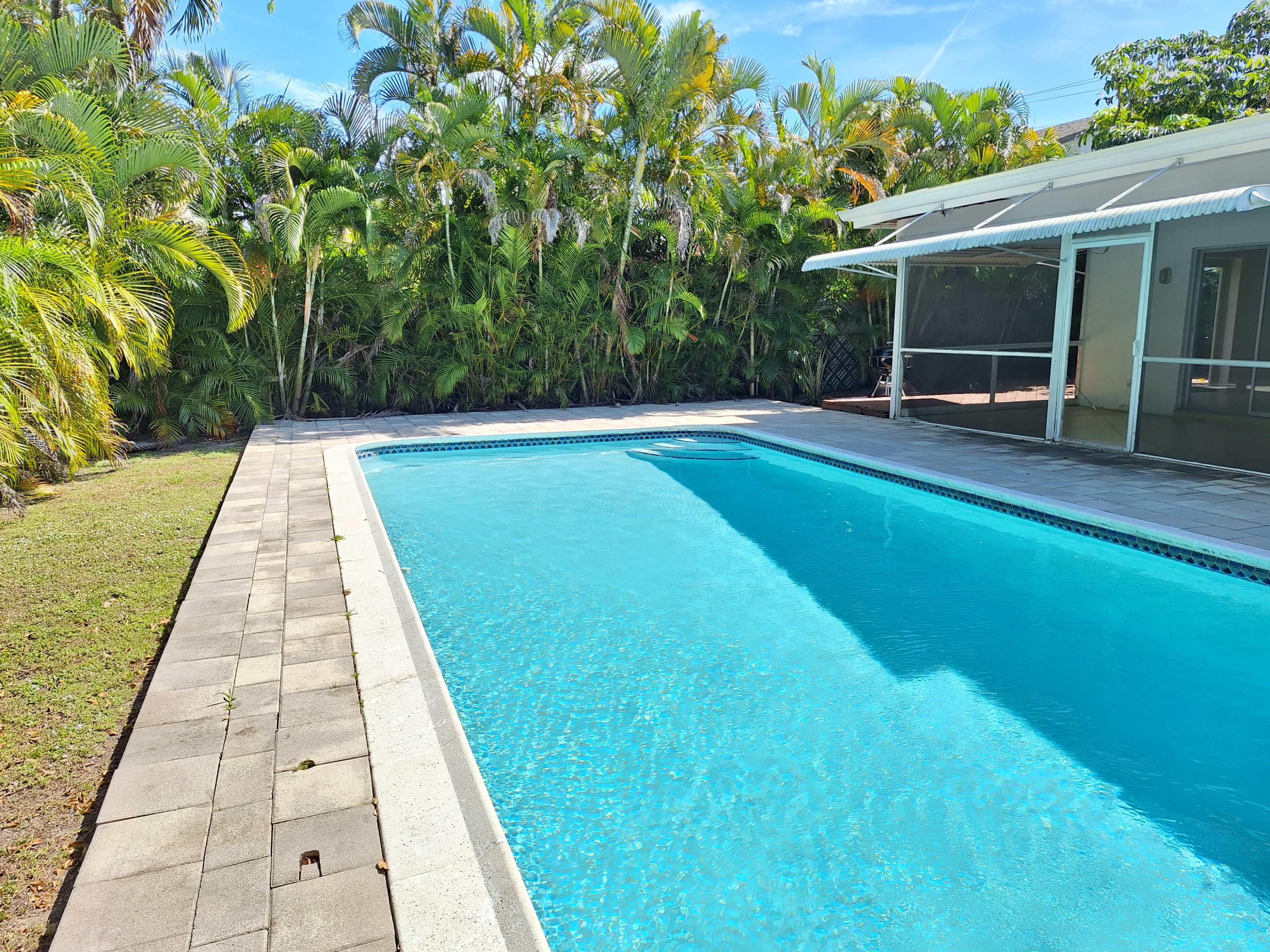 A clear swimming pool surrounded by a paved area and lush greenery.