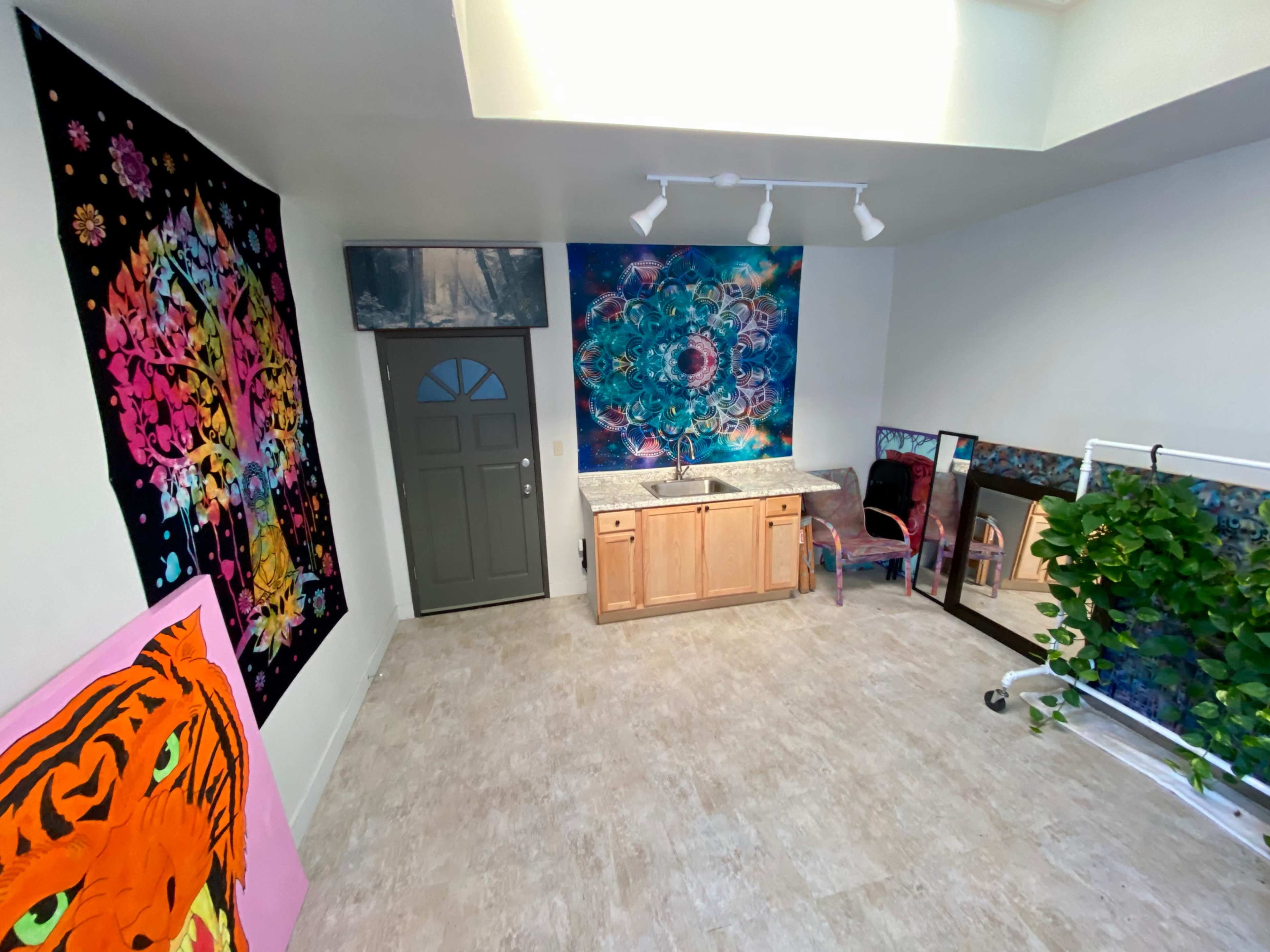 The room features colorful wall art, including a large painting of a tiger and vibrant mandala designs, alongside a small kitchenette and a mirror.