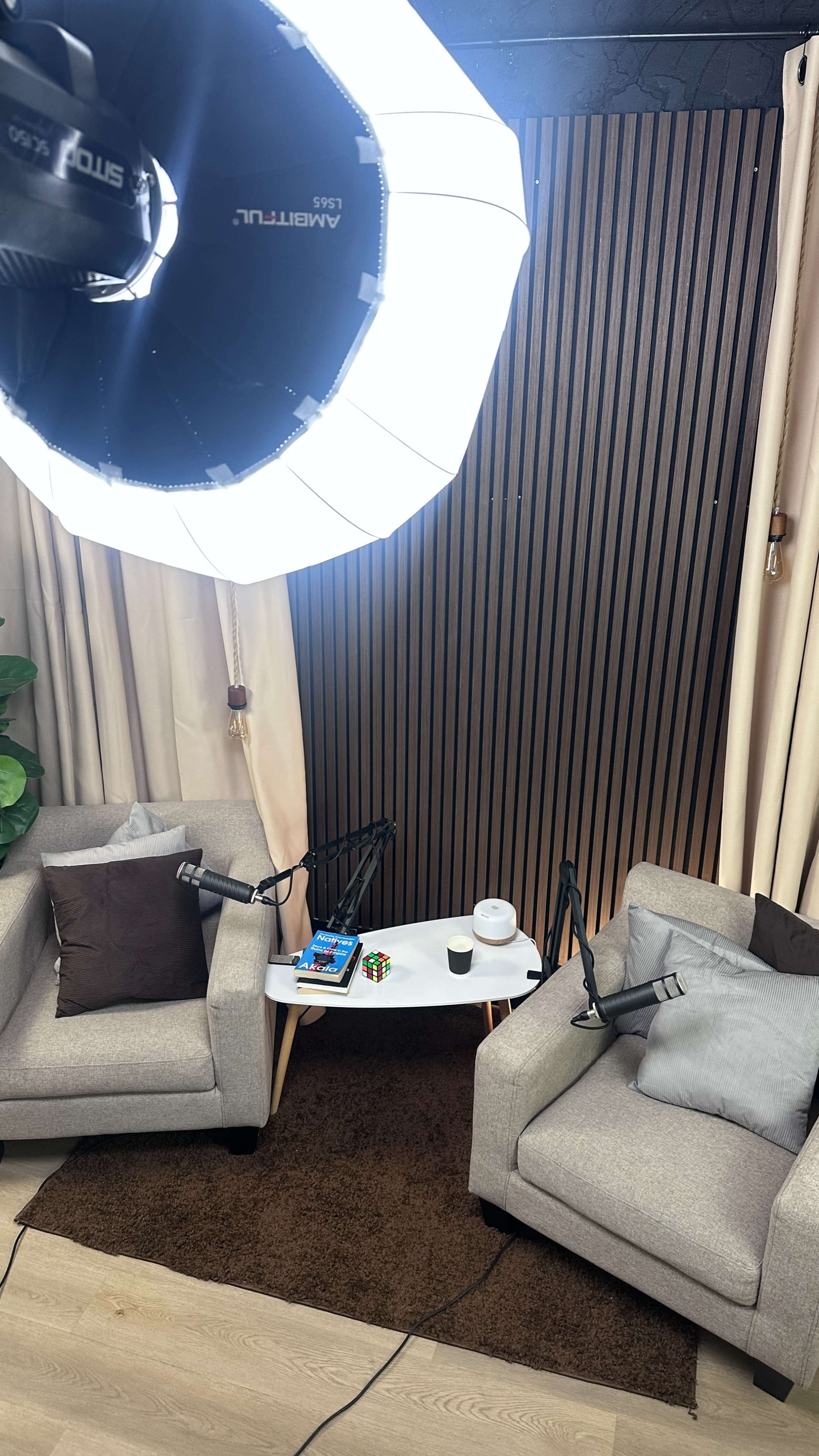 The image depicts a well-lit interview setup with two gray armchairs facing a small white table, surrounded by wooden paneling and decorative plants.