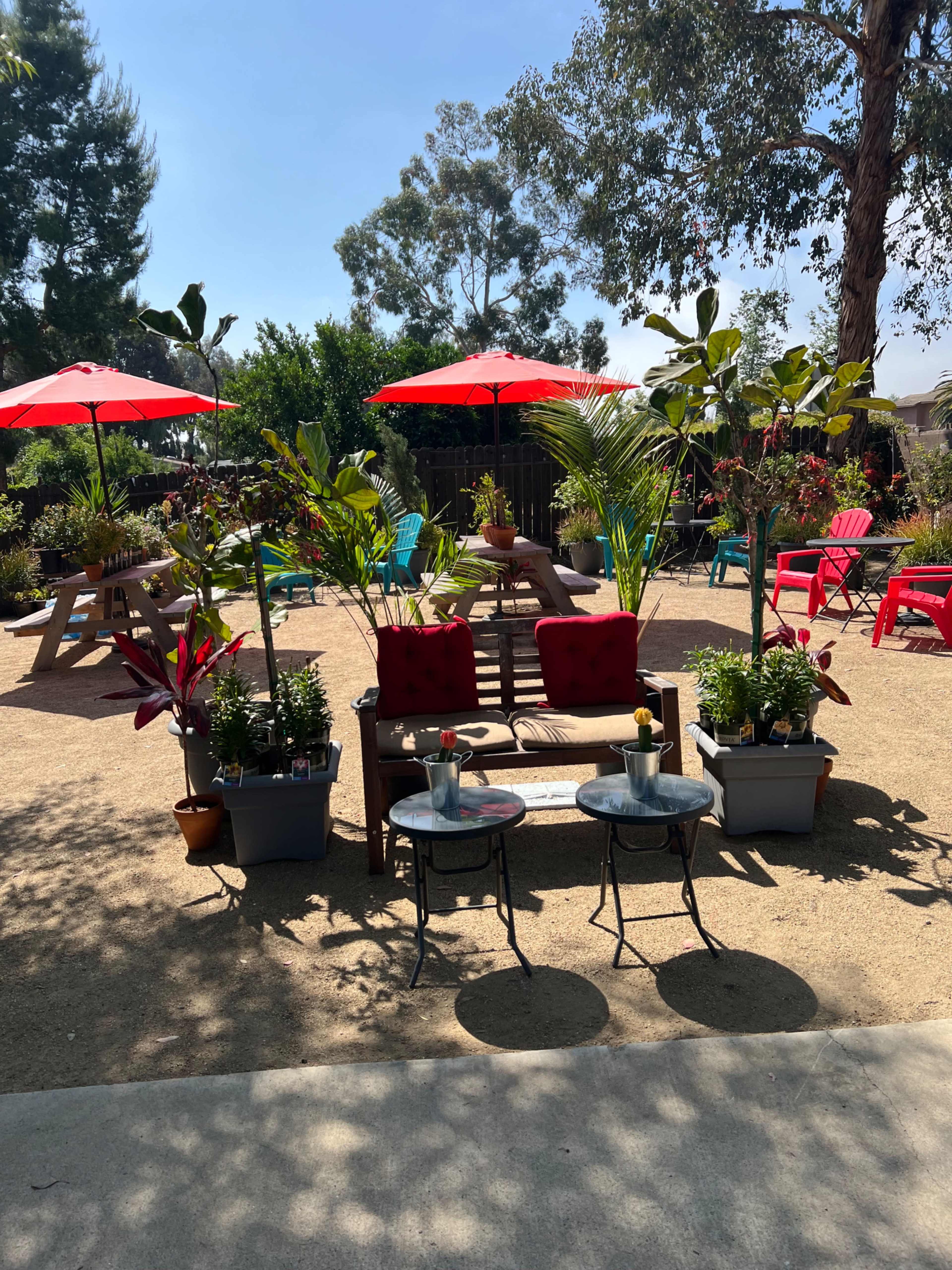 The image shows a landscaped outdoor seating area with colorful chairs, potted plants, and red umbrellas.