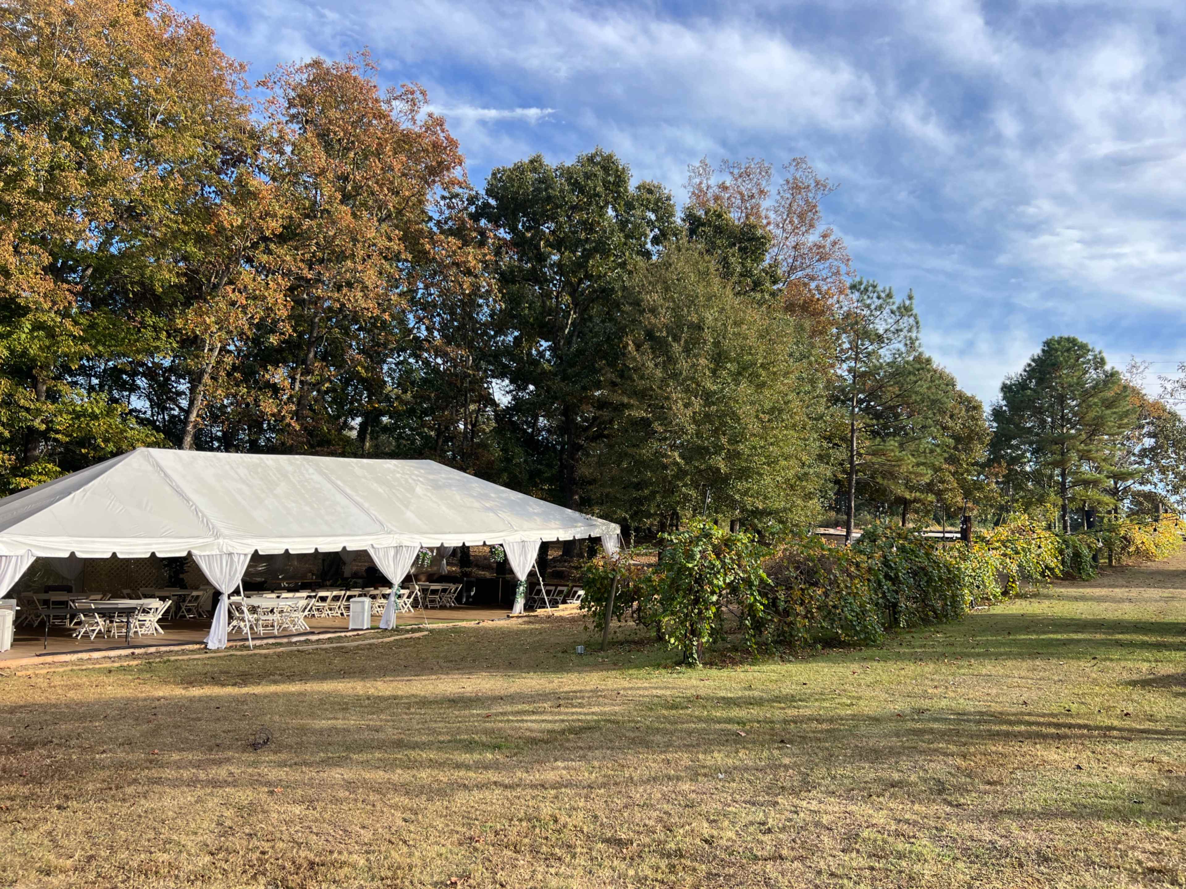 Beautiful Vineyard & Orchard with Covered Pavilion for Events | Outdoor Venue near Atlanta (Jonesboro, GA) Image in , Jonesboro, GA