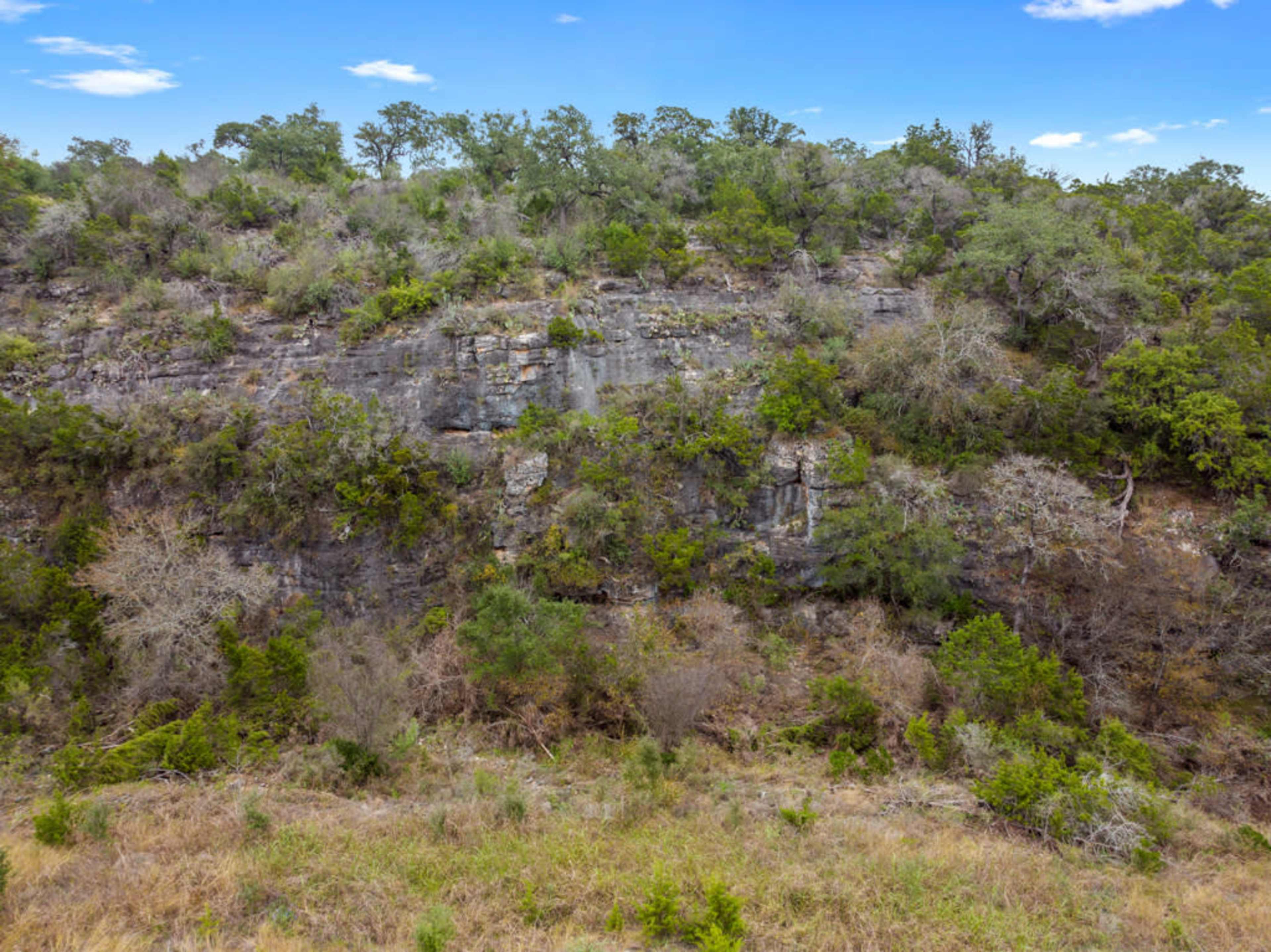 A rocky hillside covered with scattered trees and shrubs under a clear blue sky.