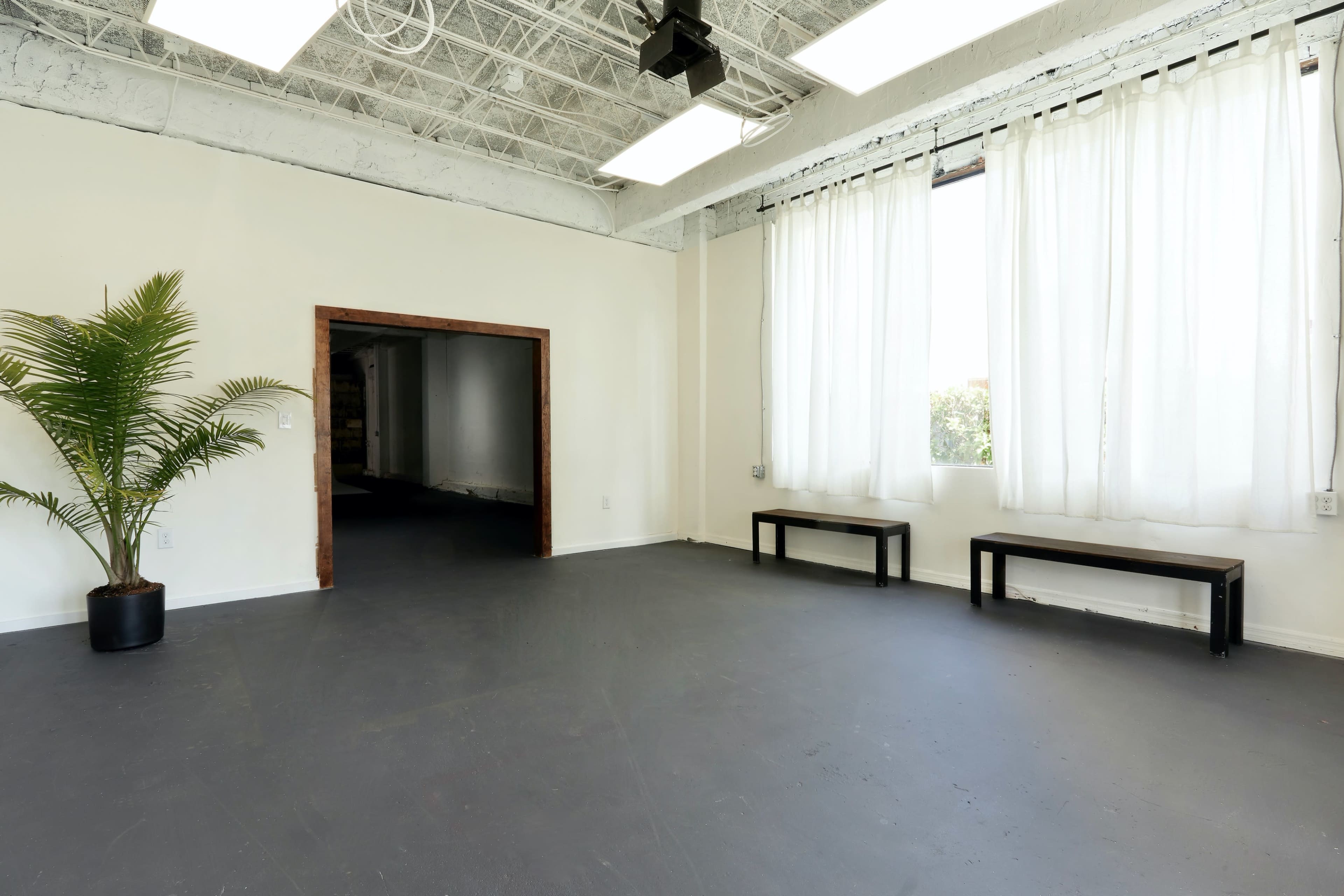 A spacious room with a concrete floor, two benches along one wall, a large window with white curtains, and a potted plant in the corner.