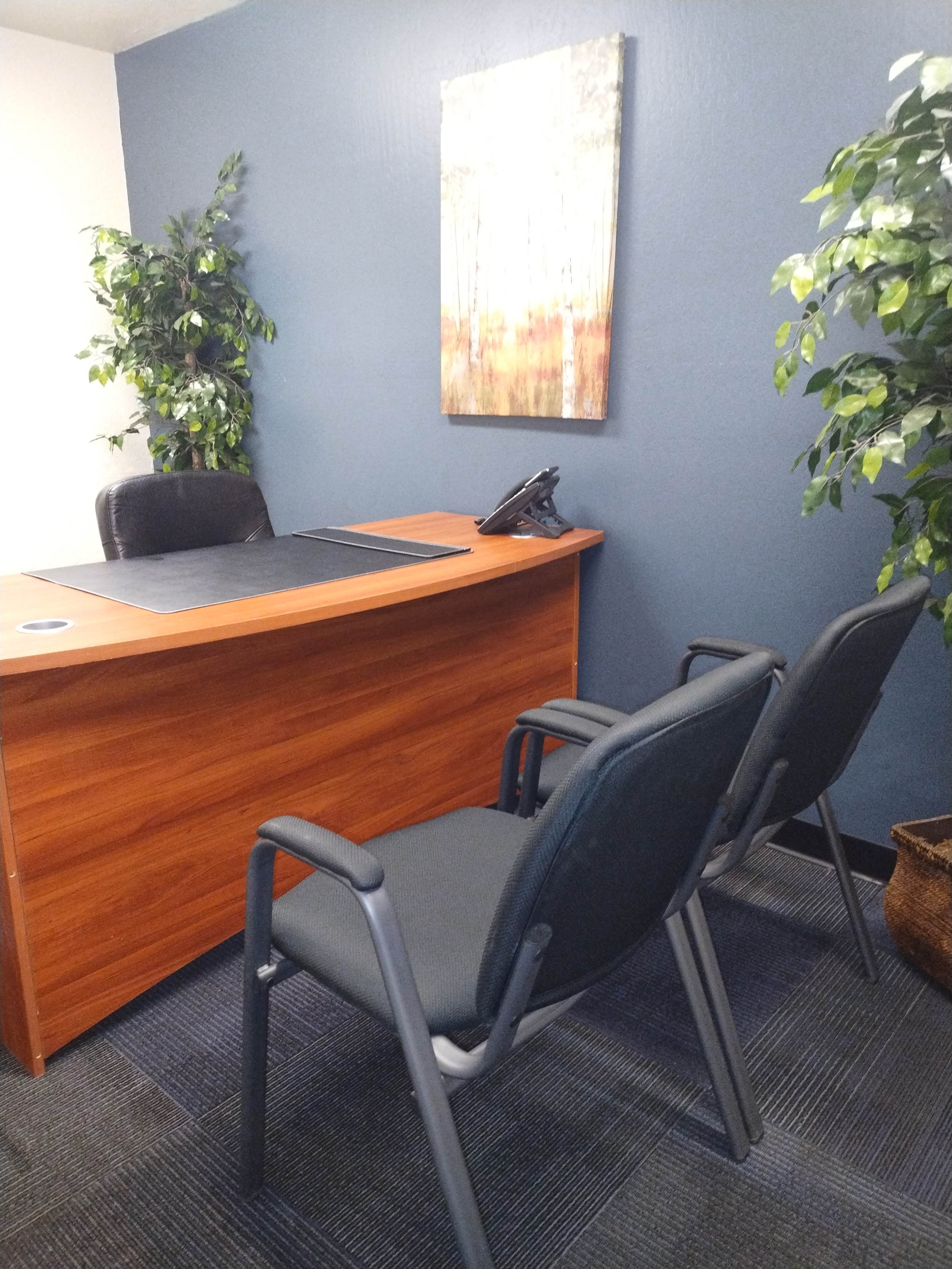 The image shows a small office space with a wooden desk, a phone, two black chairs, and plants against a blue wall, along with a piece of artwork hanging above the desk.