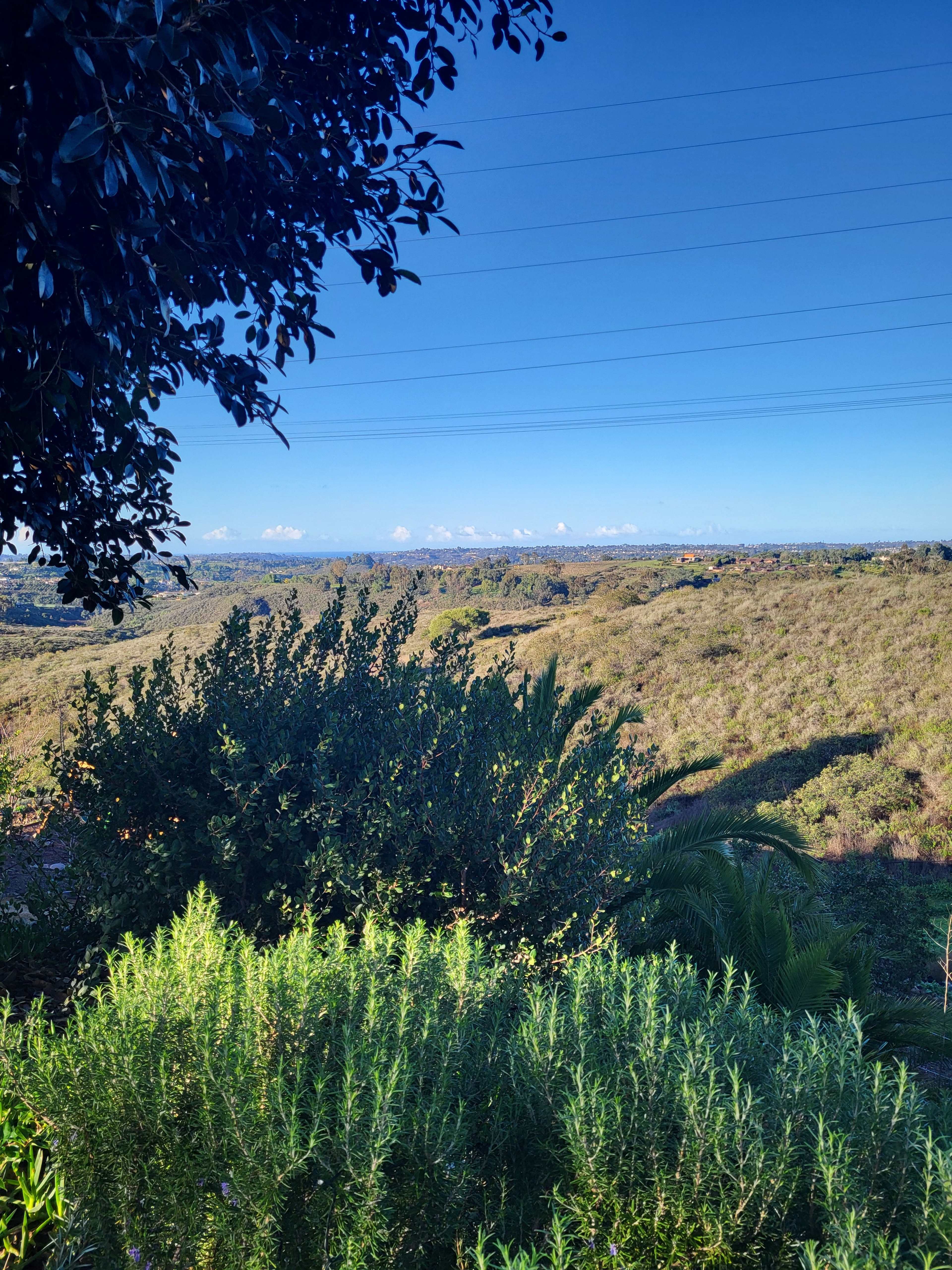 Micro Wedding Venue and Event Space Image in , ESCONDIDO, CA