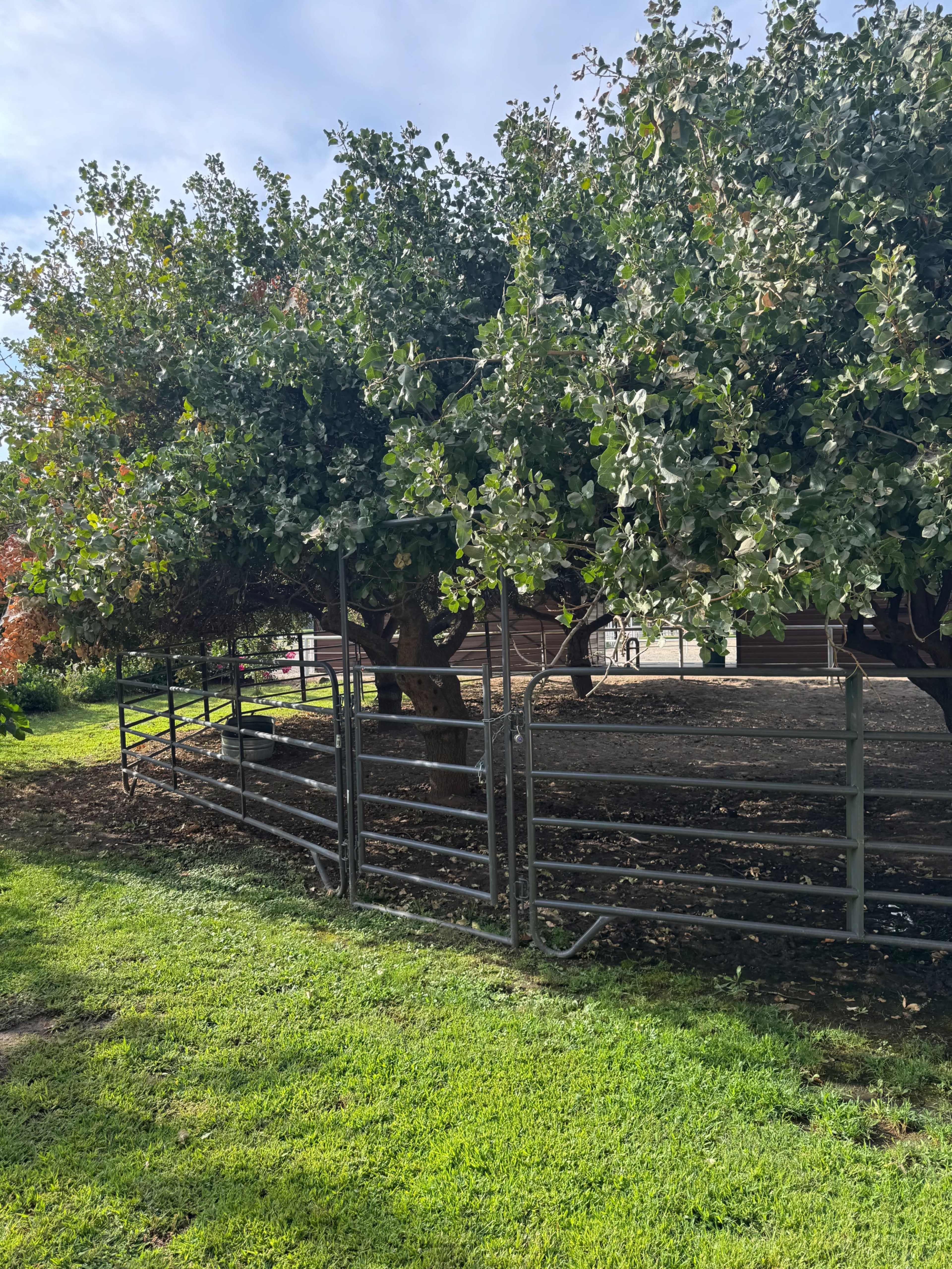 Havenwood Homestead Image in Panorama, Bakersfield, CA