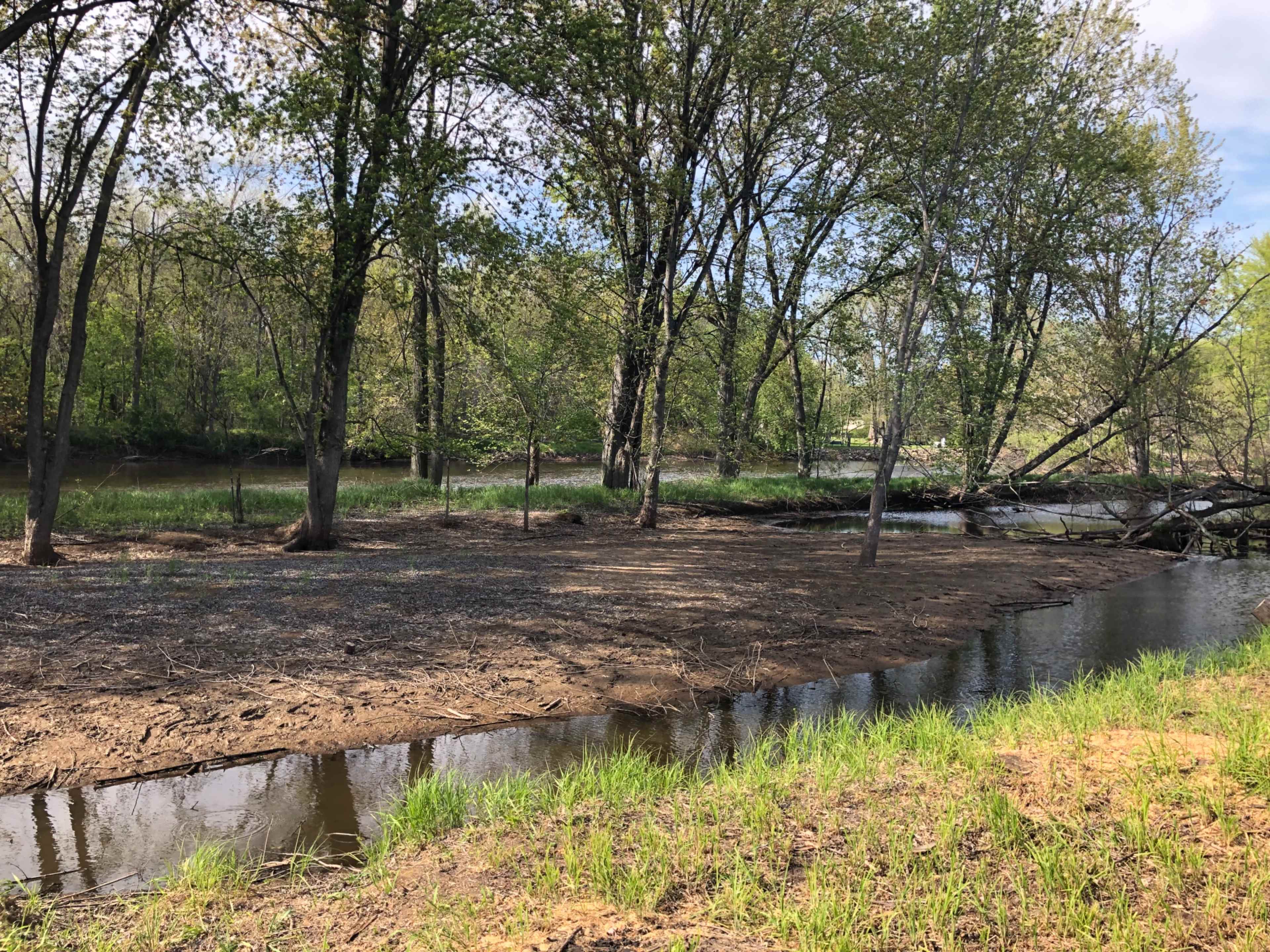 A riverbank with sparse vegetation and trees along the water's edge.