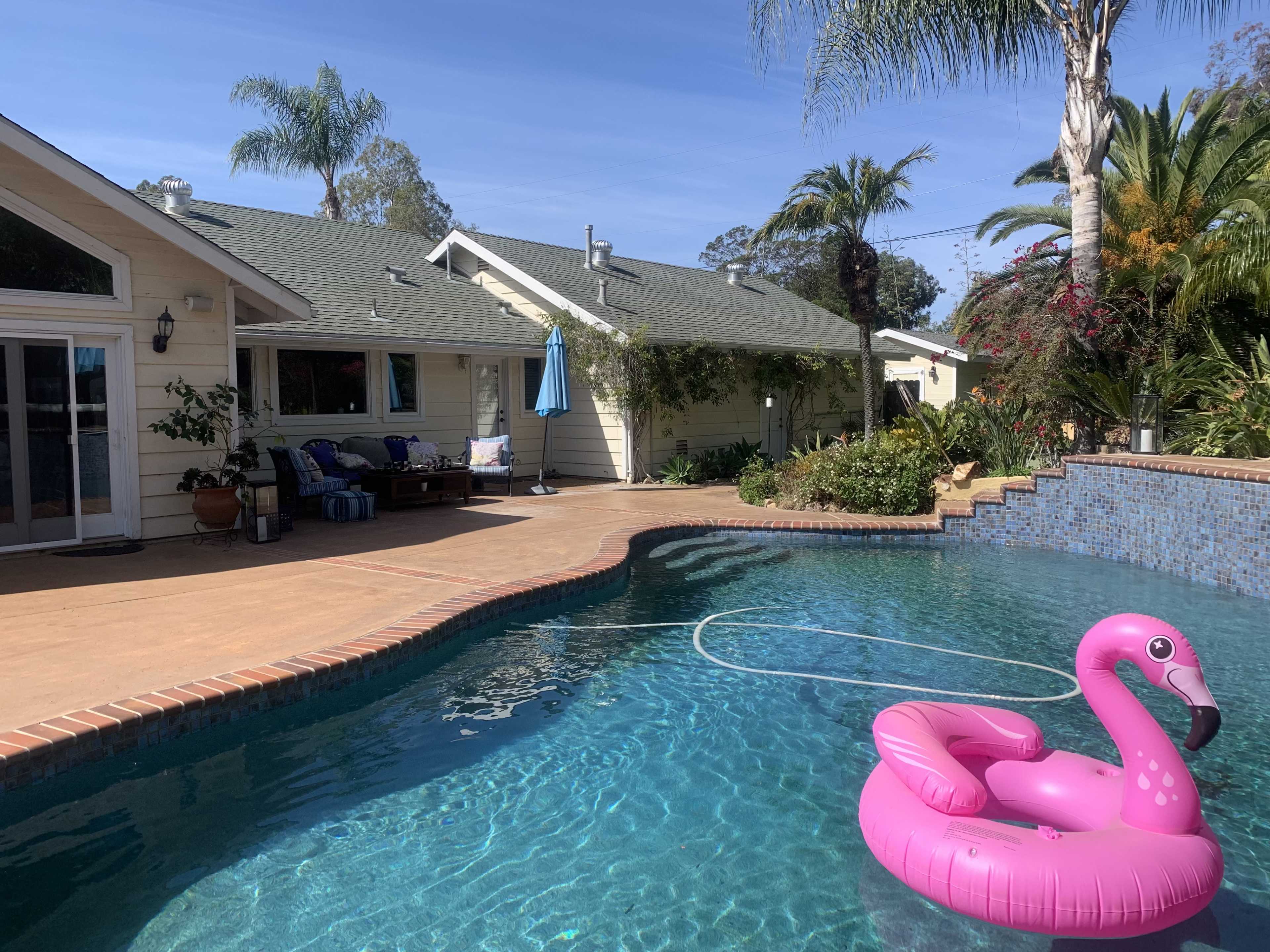 A pink flamingo float sits in a swimming pool surrounded by a residential backyard with palm trees and a patio area.