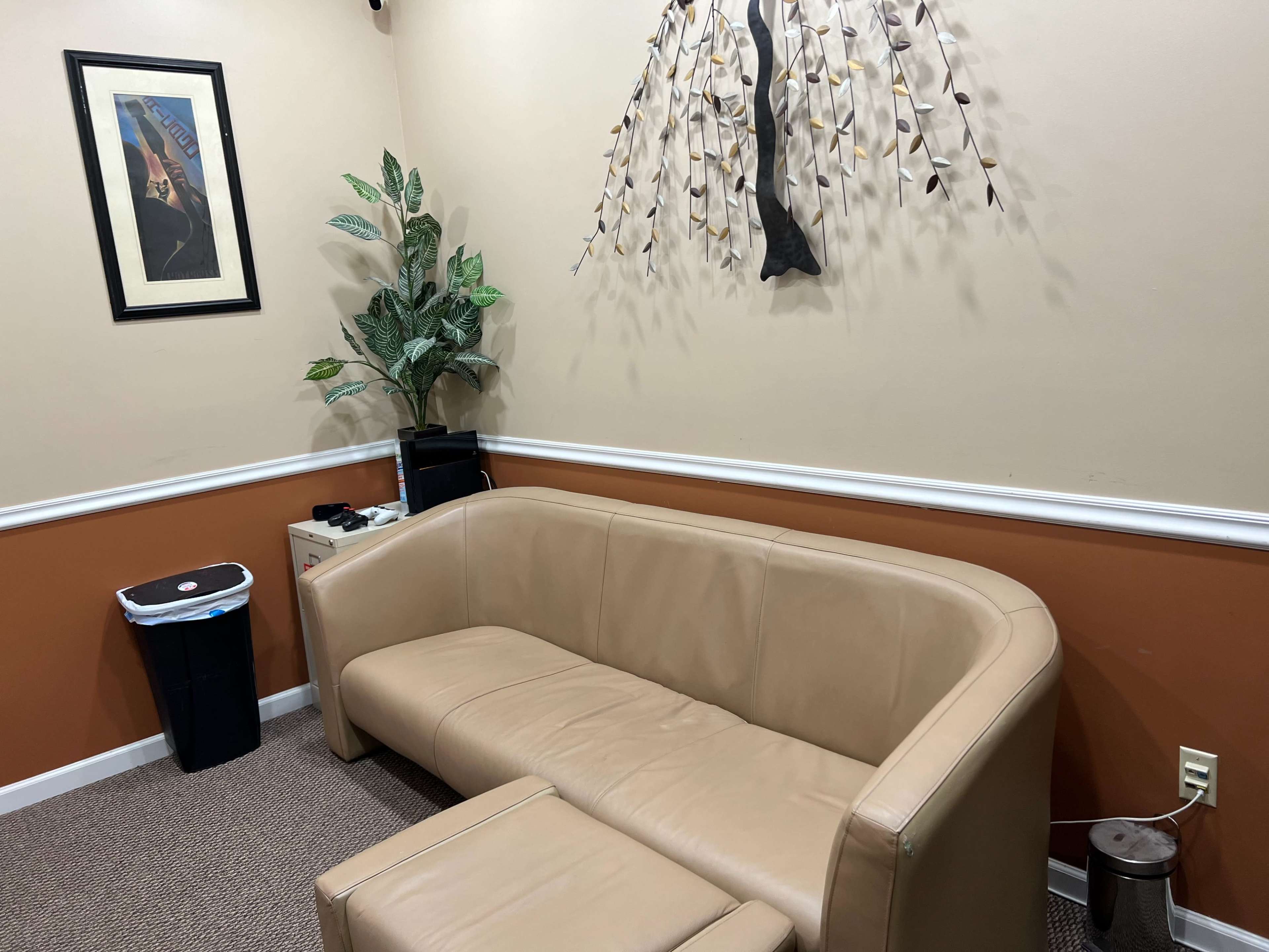 The image shows a small room with a tan couch, a trash can, a potted plant, and a wall decoration of a tree with leaves.