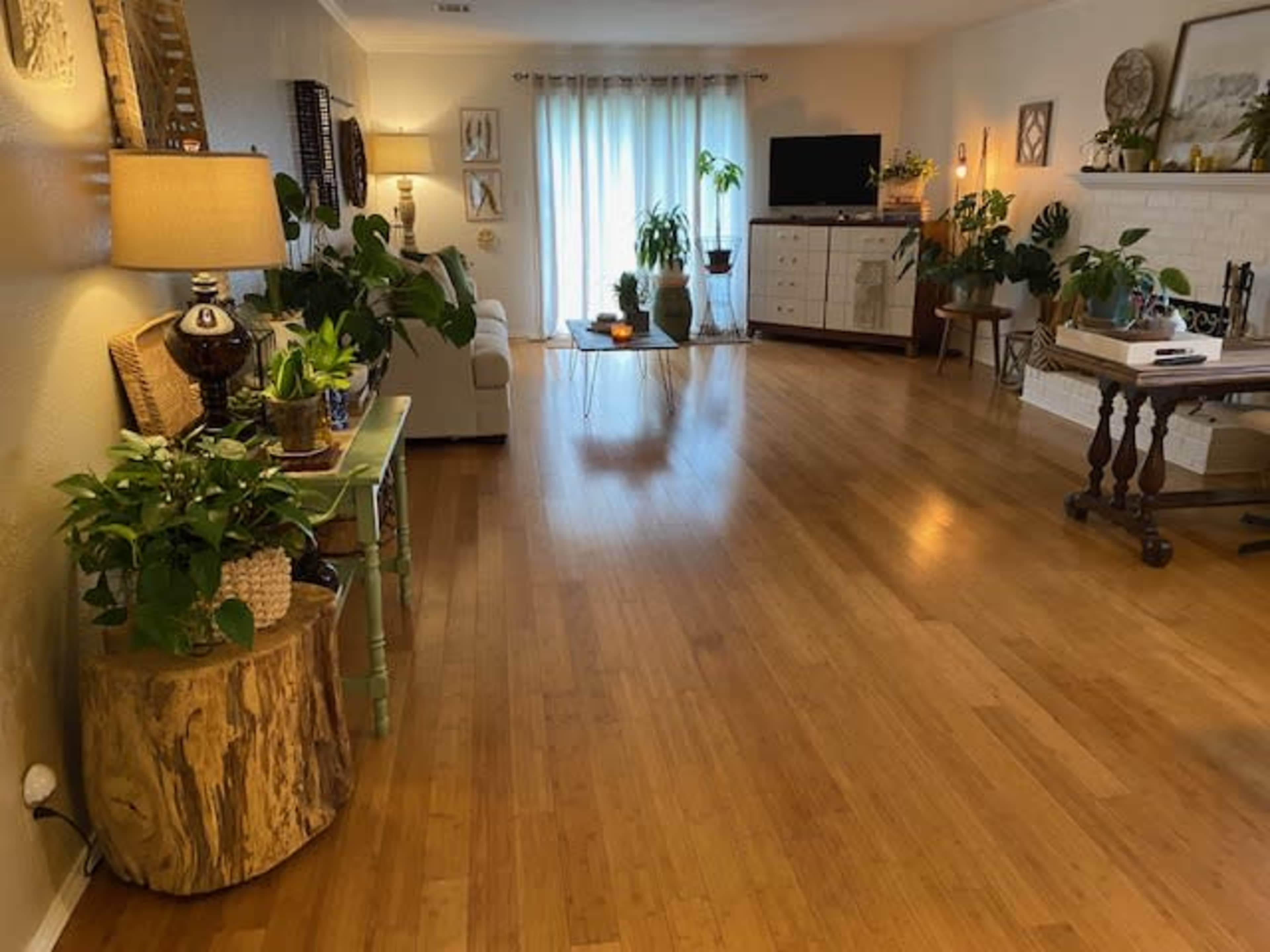 A living room with wooden flooring, featuring plants, a light-colored couch, a television, and a chest of drawers against a backdrop of large windows.