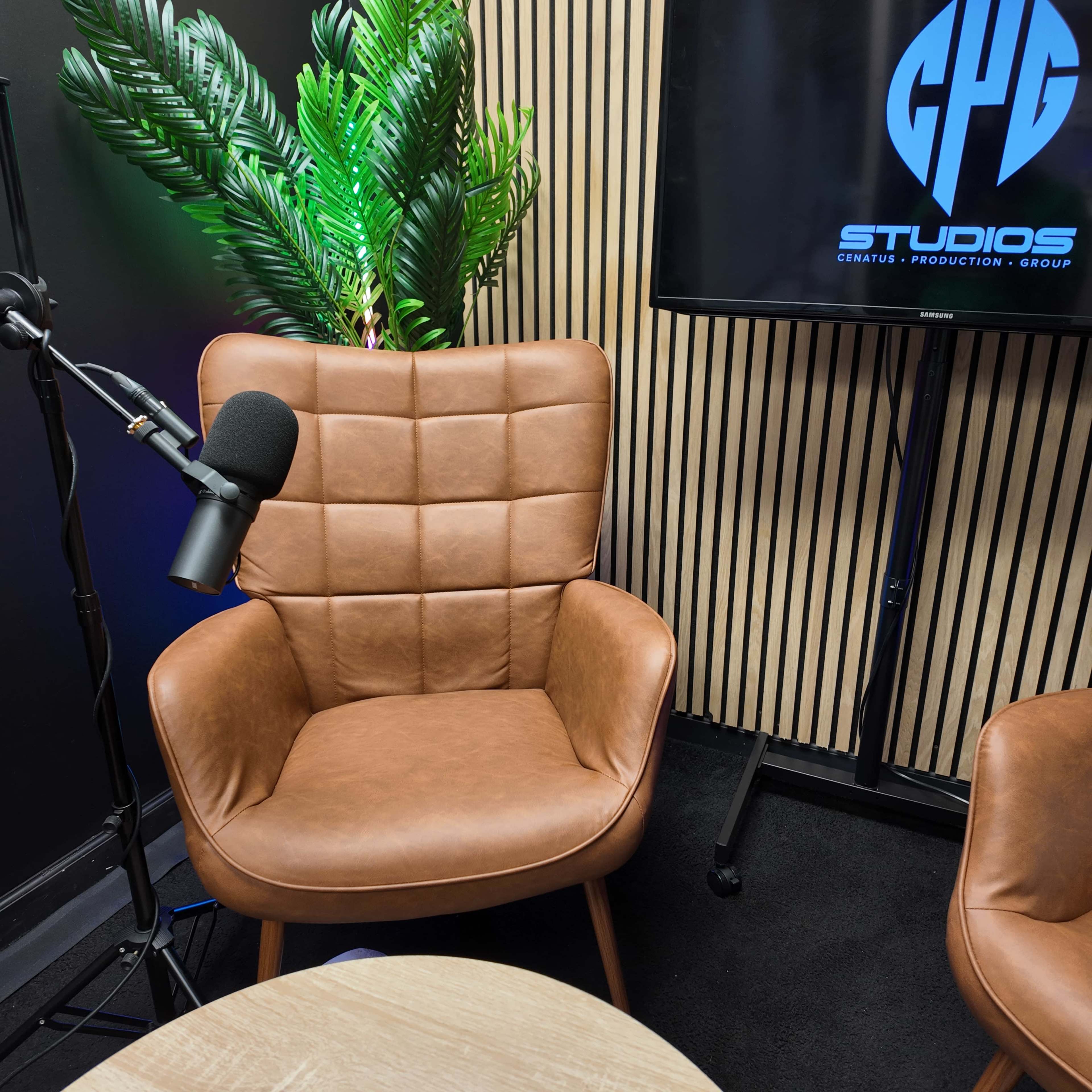 The image shows a modern studio setup featuring a brown leather chair, a microphone on a stand, and a television displaying a logo against a backdrop of vertical wooden slats and a green plant.