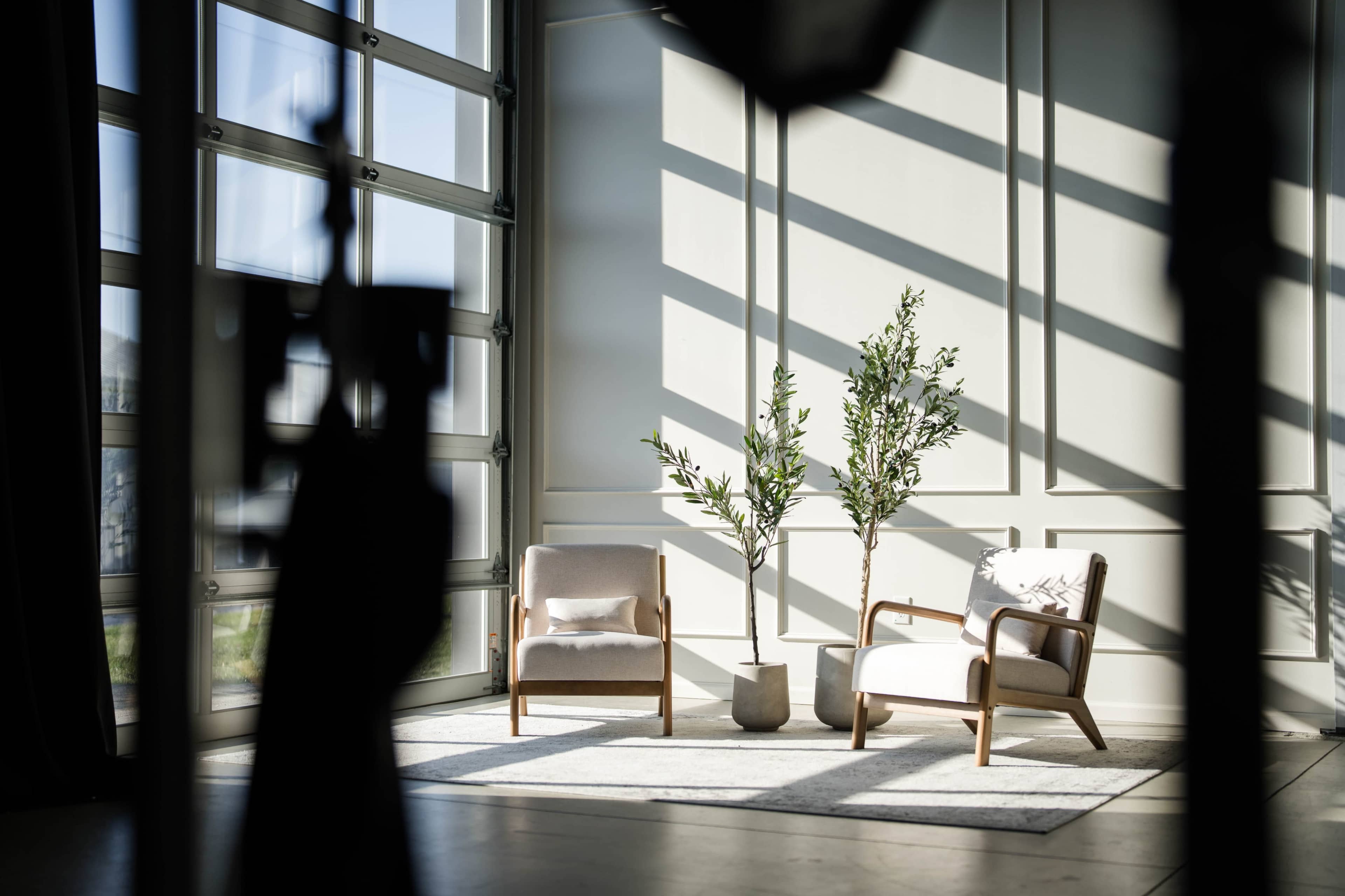 The scene features two chairs positioned beside potted plants on a rug in a sunlit room with large windows casting shadows on the walls.
