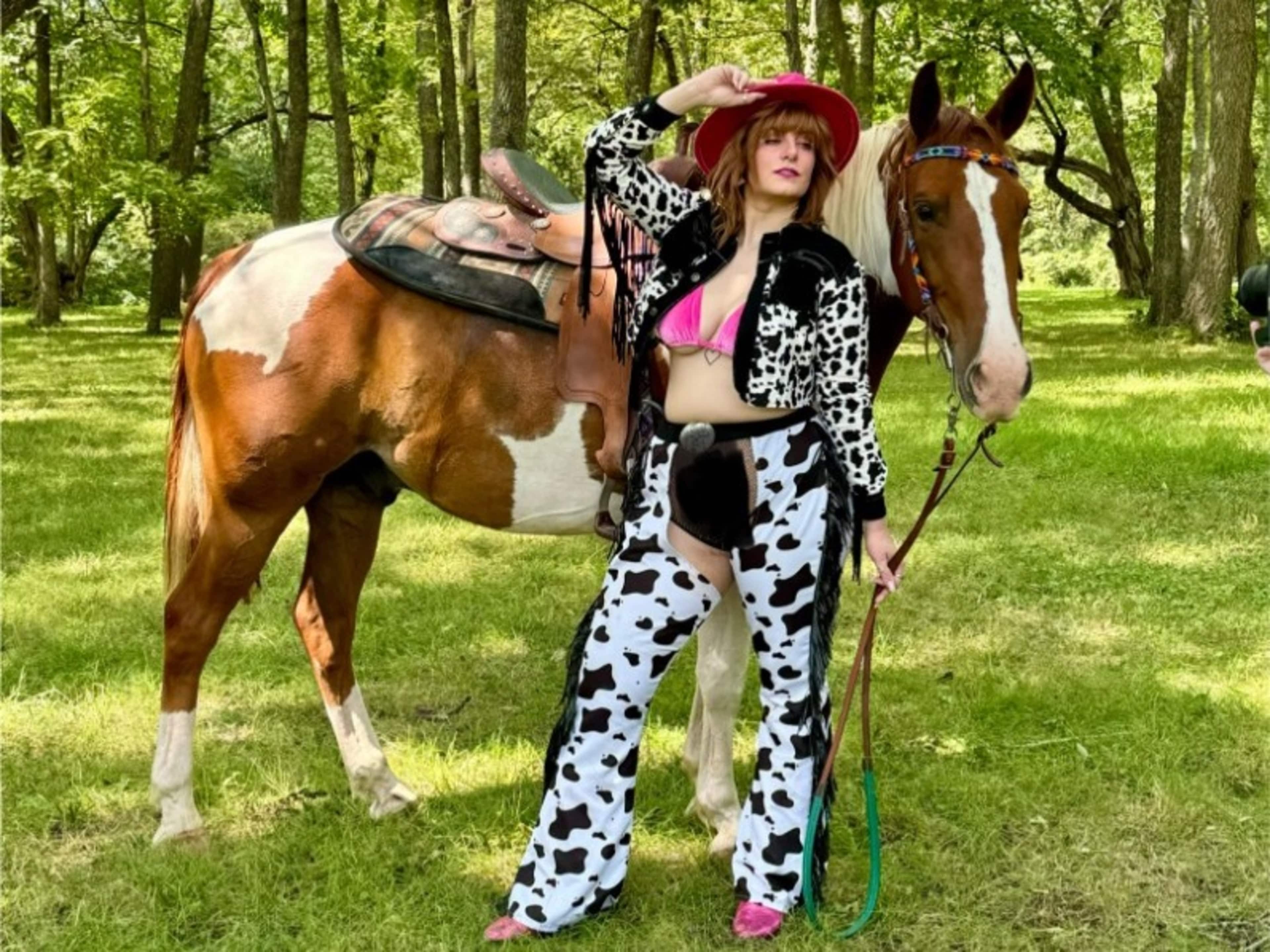 Horse for photoshoot